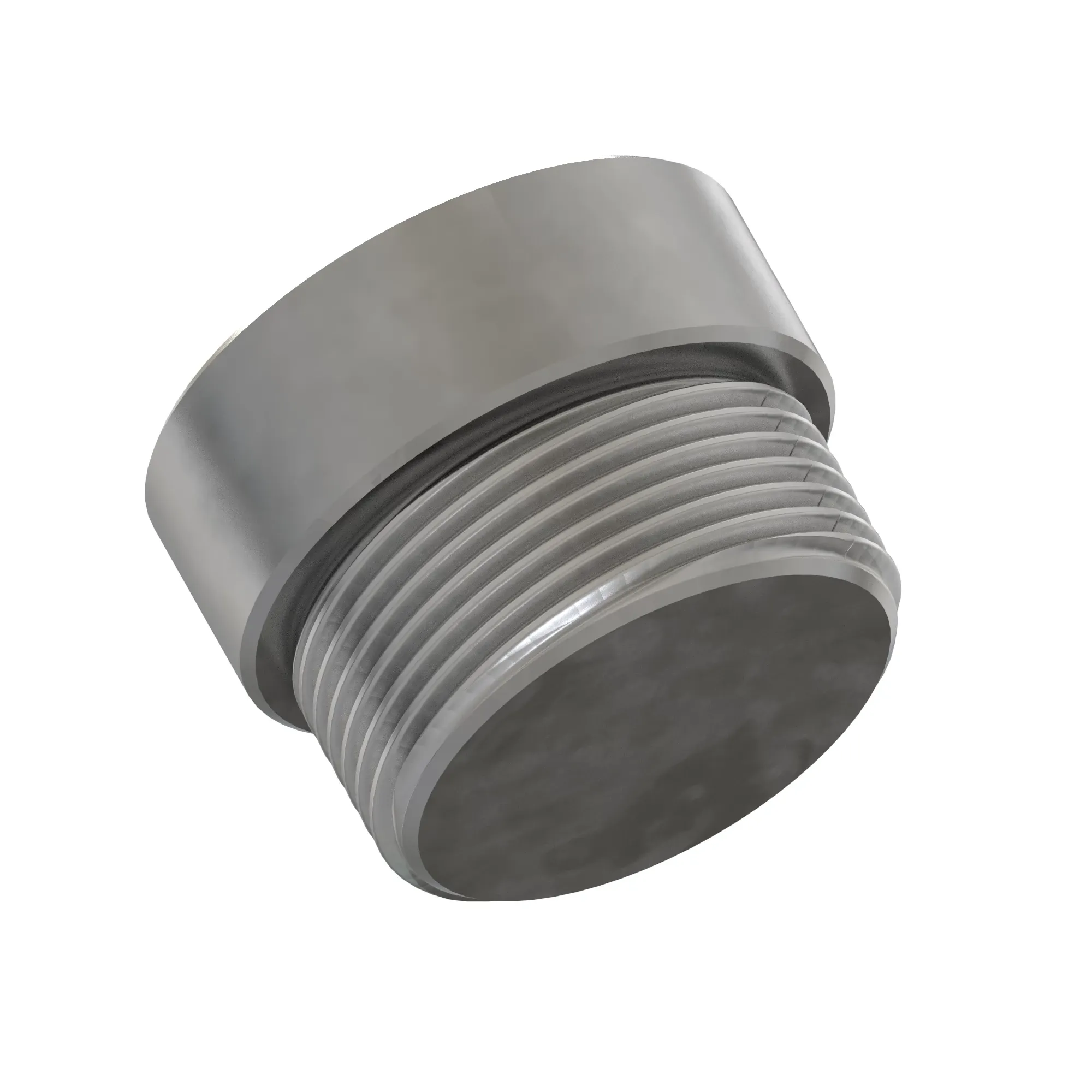 Check Valve