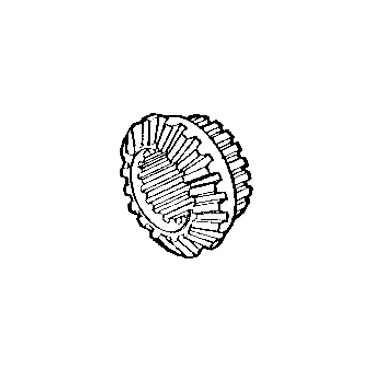 Bevel Gear
