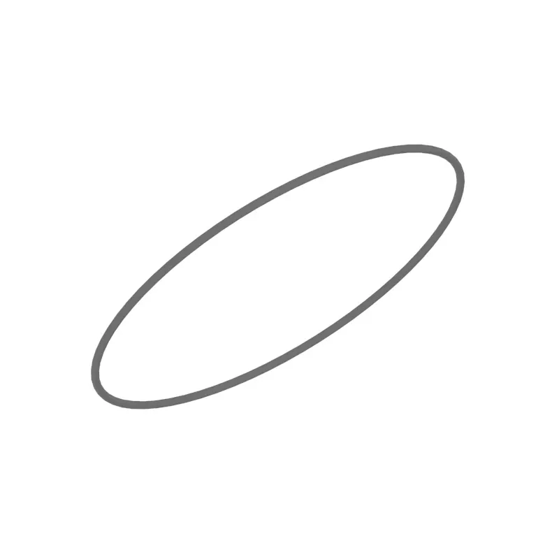 O-Ring