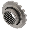 Bevel Gear