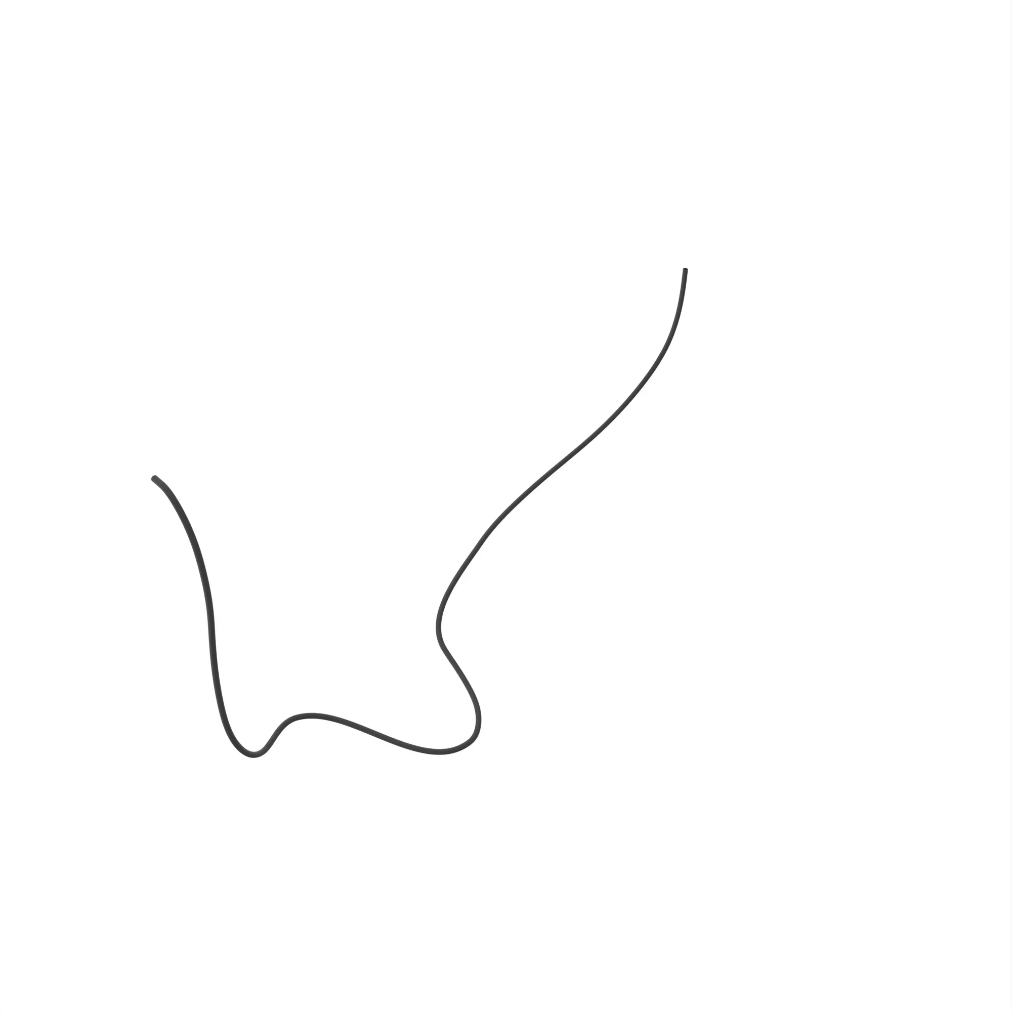 Hose