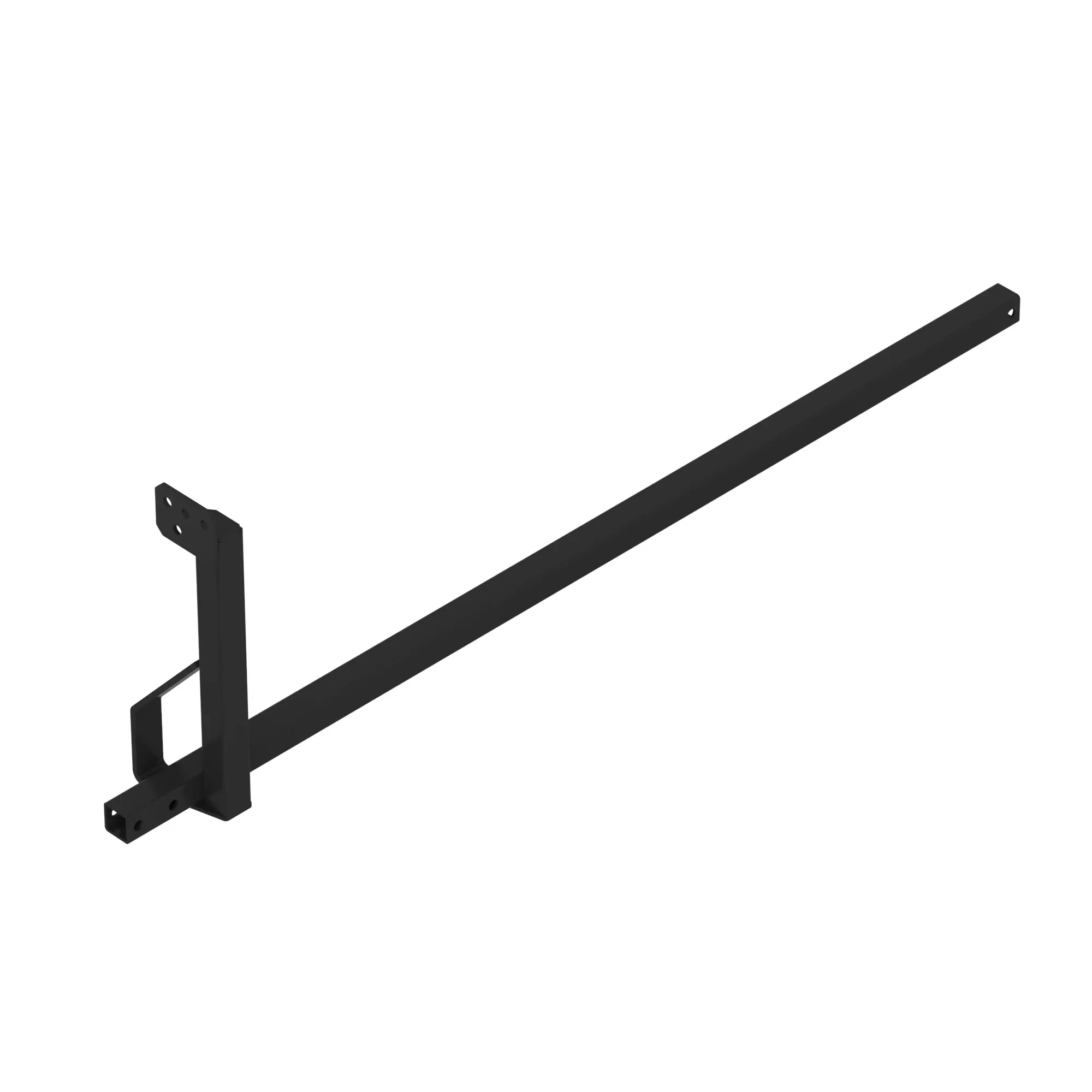 Arm