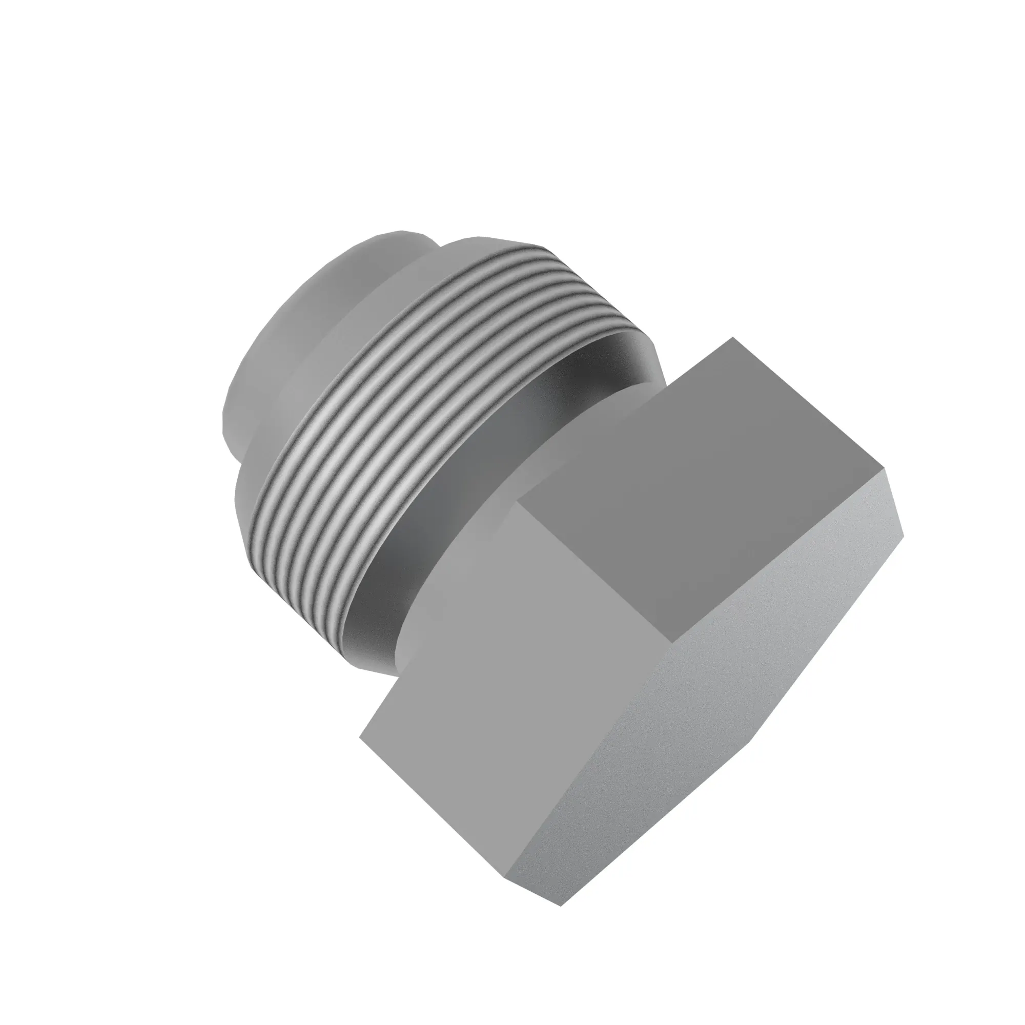 Fitting Plug