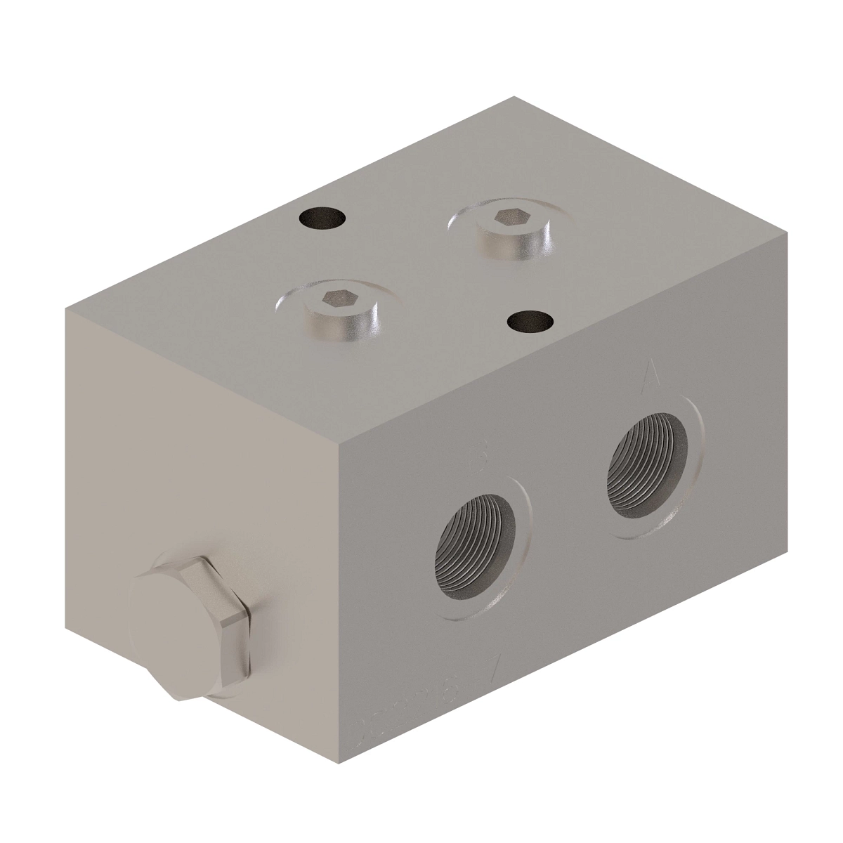 Check Valve Secu Porte