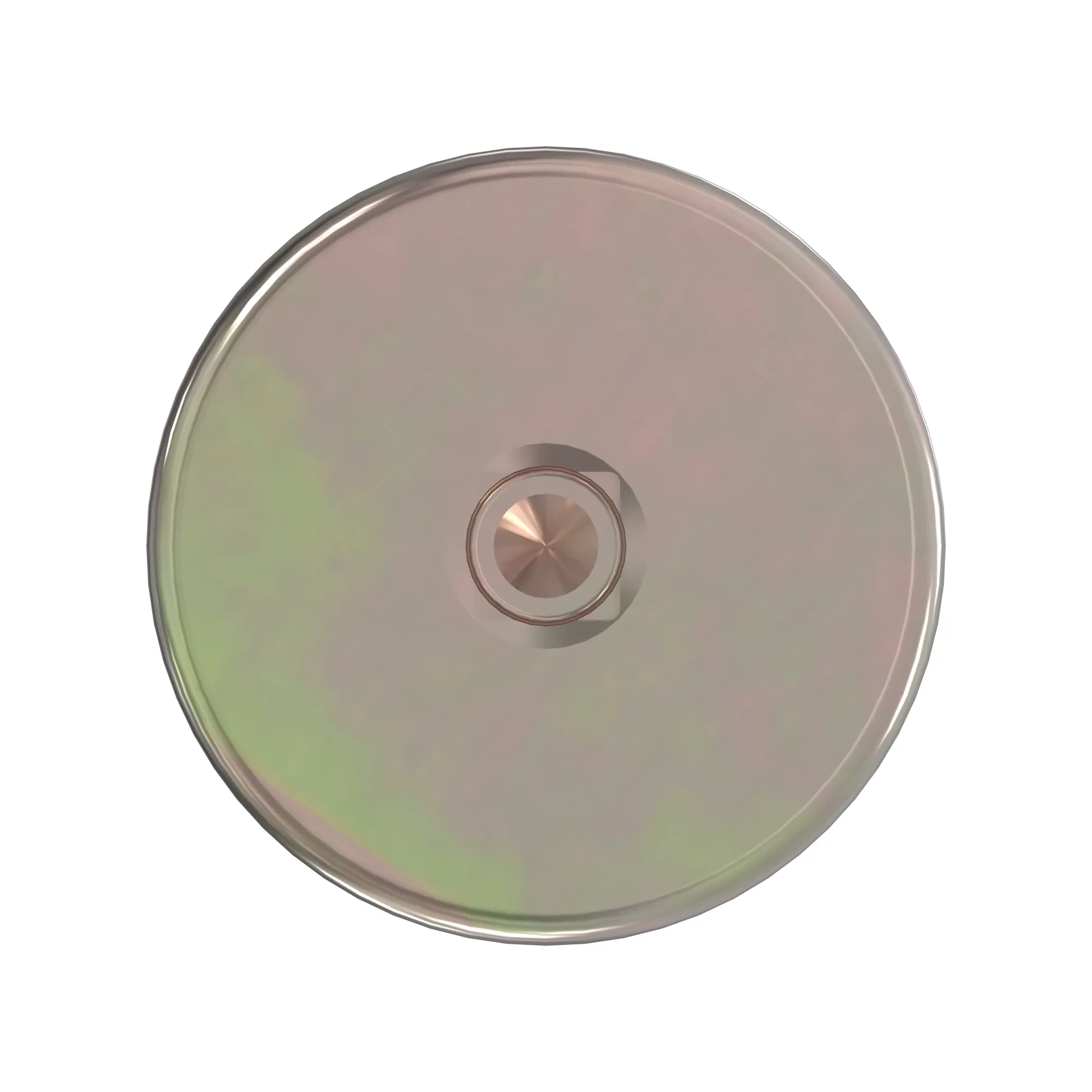 Fitting Plug