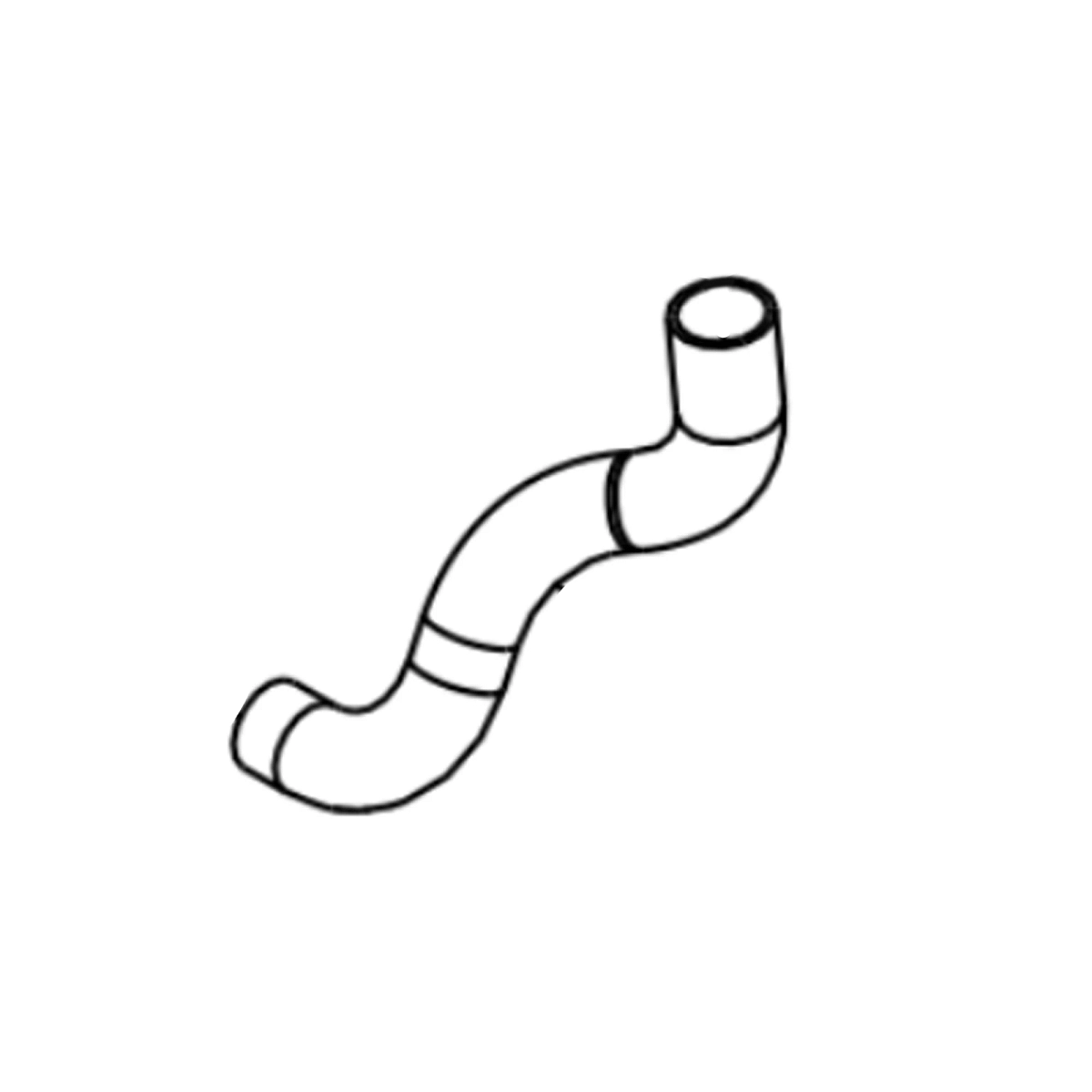 Radiator Hose, Lowe