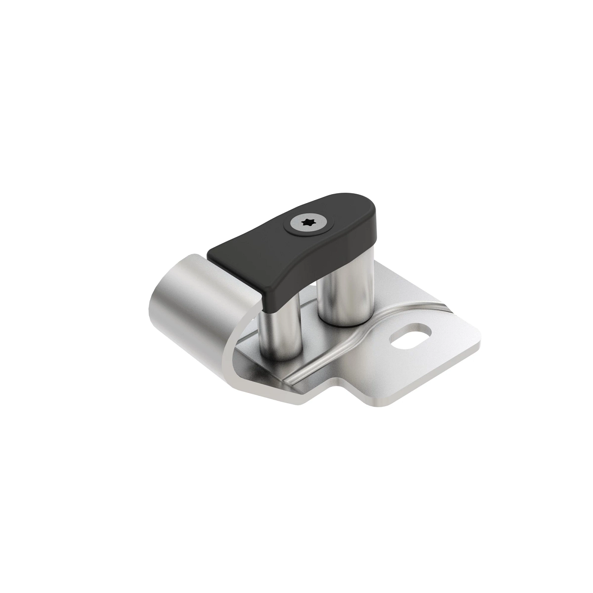 Lock Striker, RH, Assy