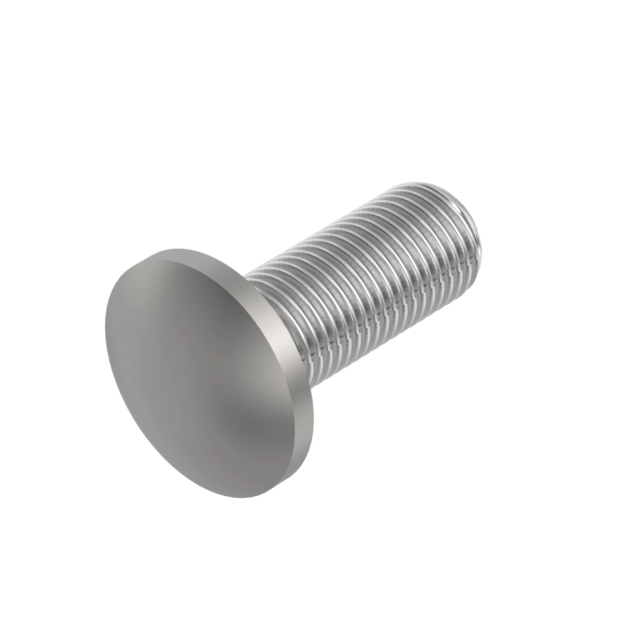 BOLT, CUP HEAD SQUARE NECK