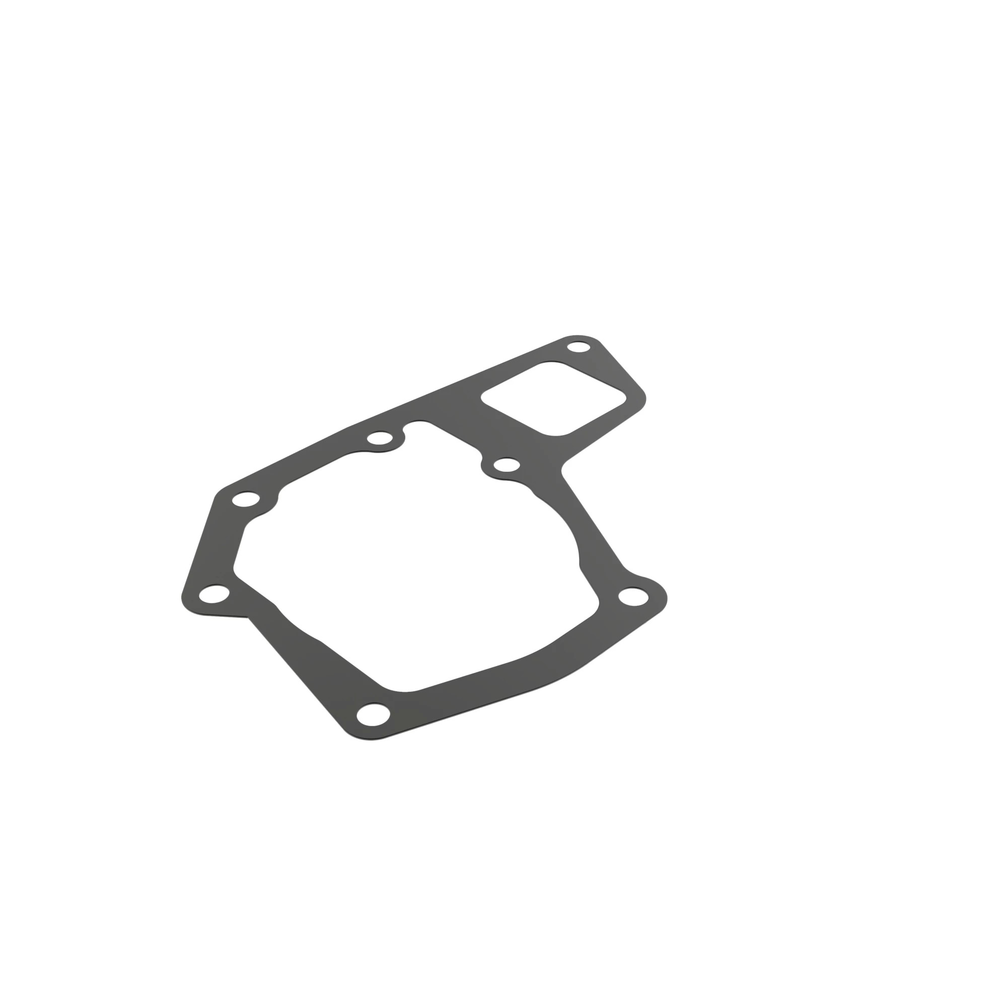 R520580: Water Pump Gasket