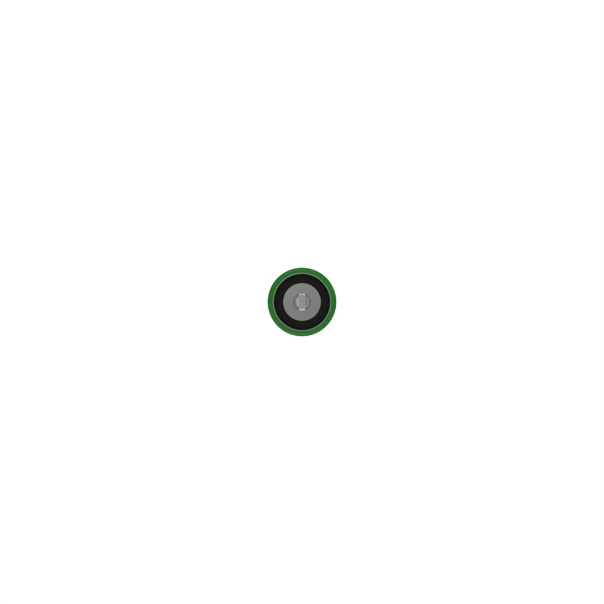 CAP, OIL FILLER, WITH ROD