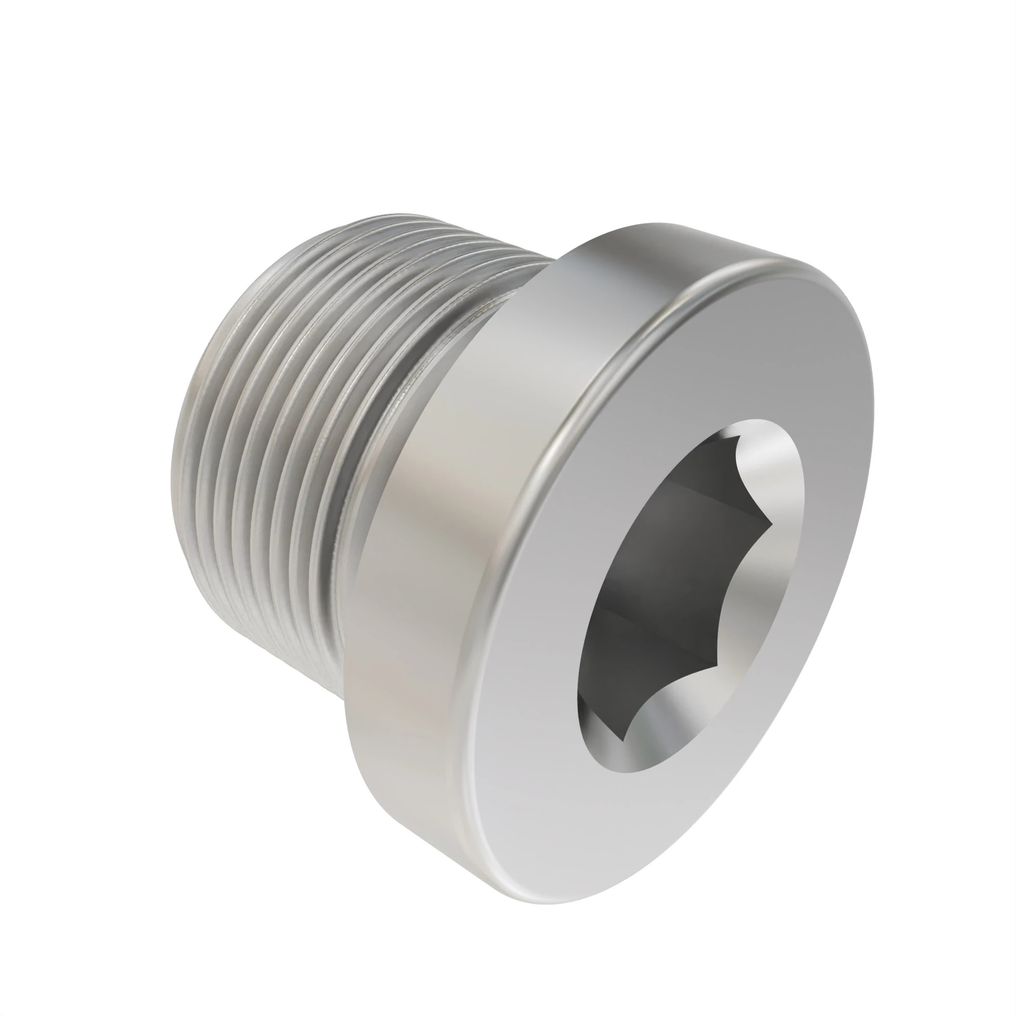 DRAIN PLUG, LEVEL PLUG