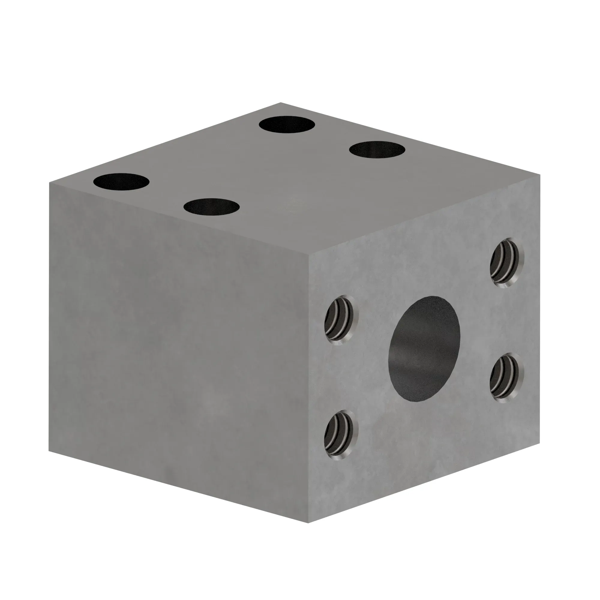 Manifold