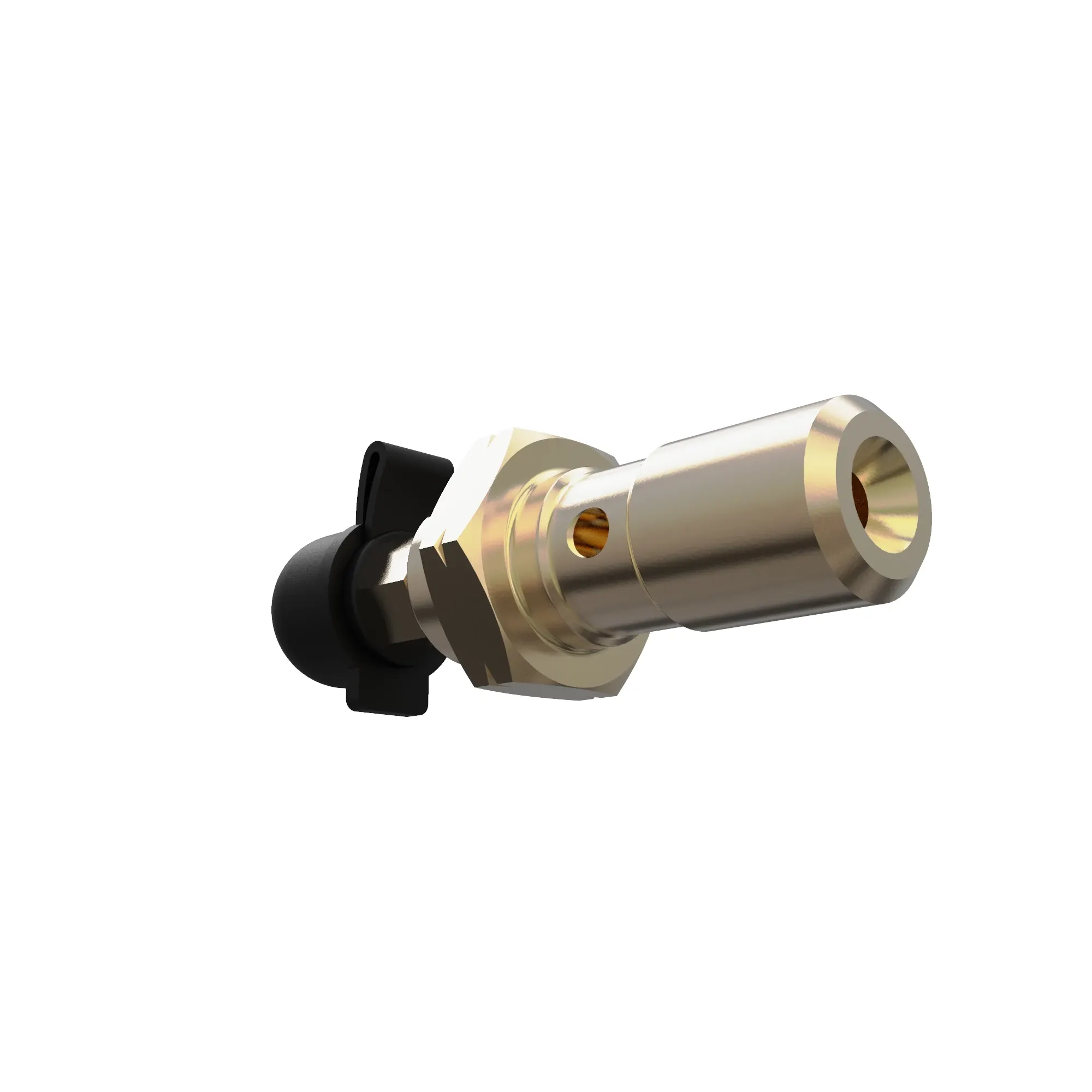 Bolt