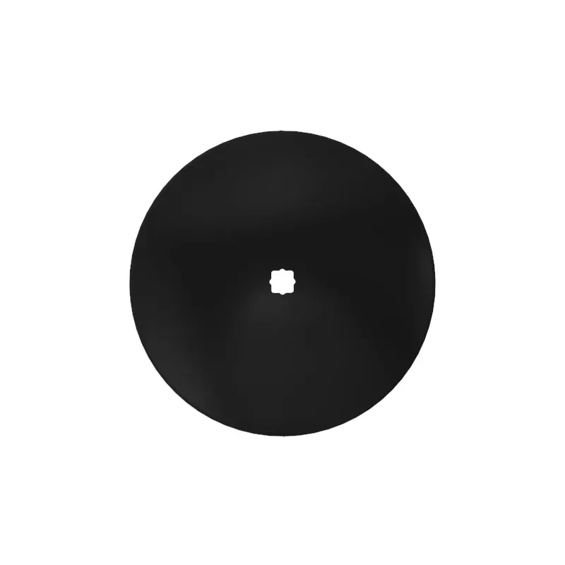 Disk