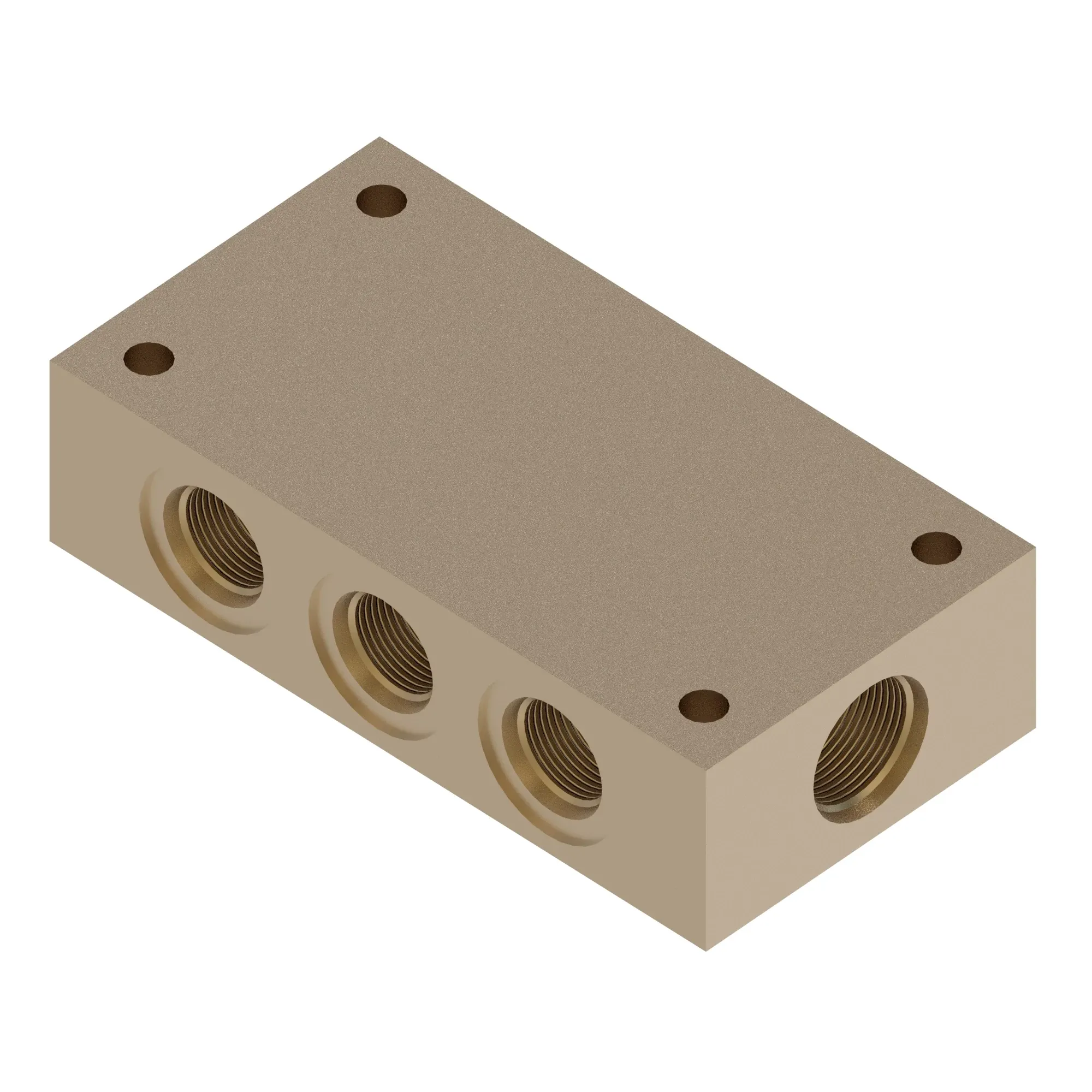 Manifold