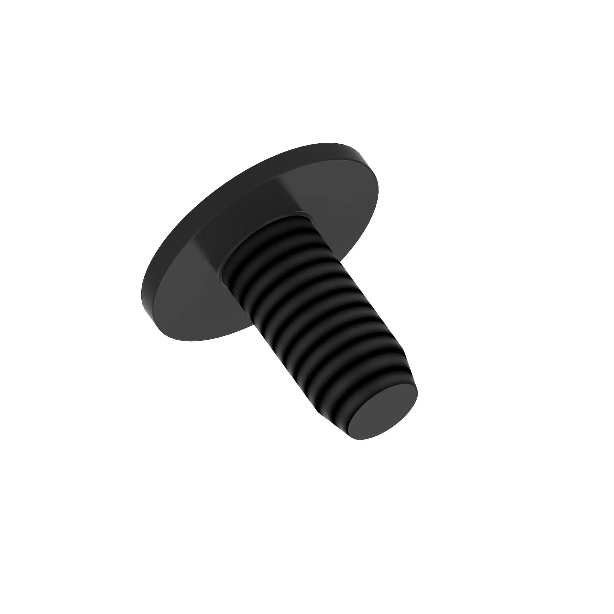 SCREW, SPECIAL