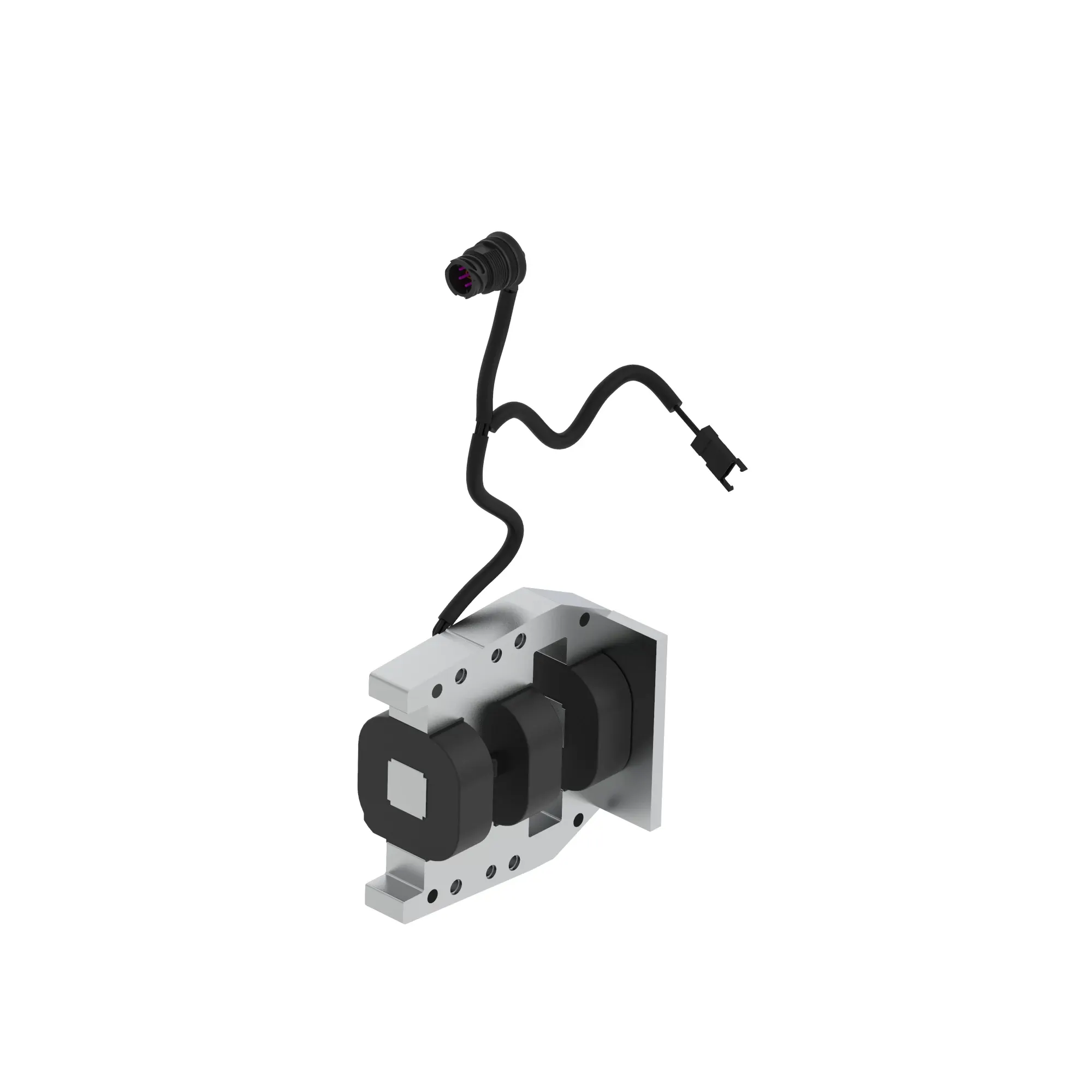 Magnet