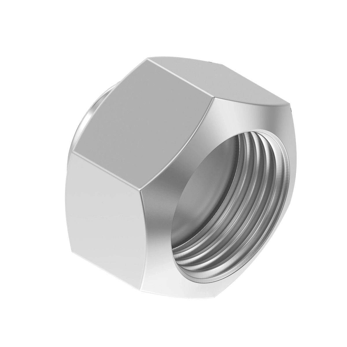 Cap Assembly, (Cp) O-Ring FSF