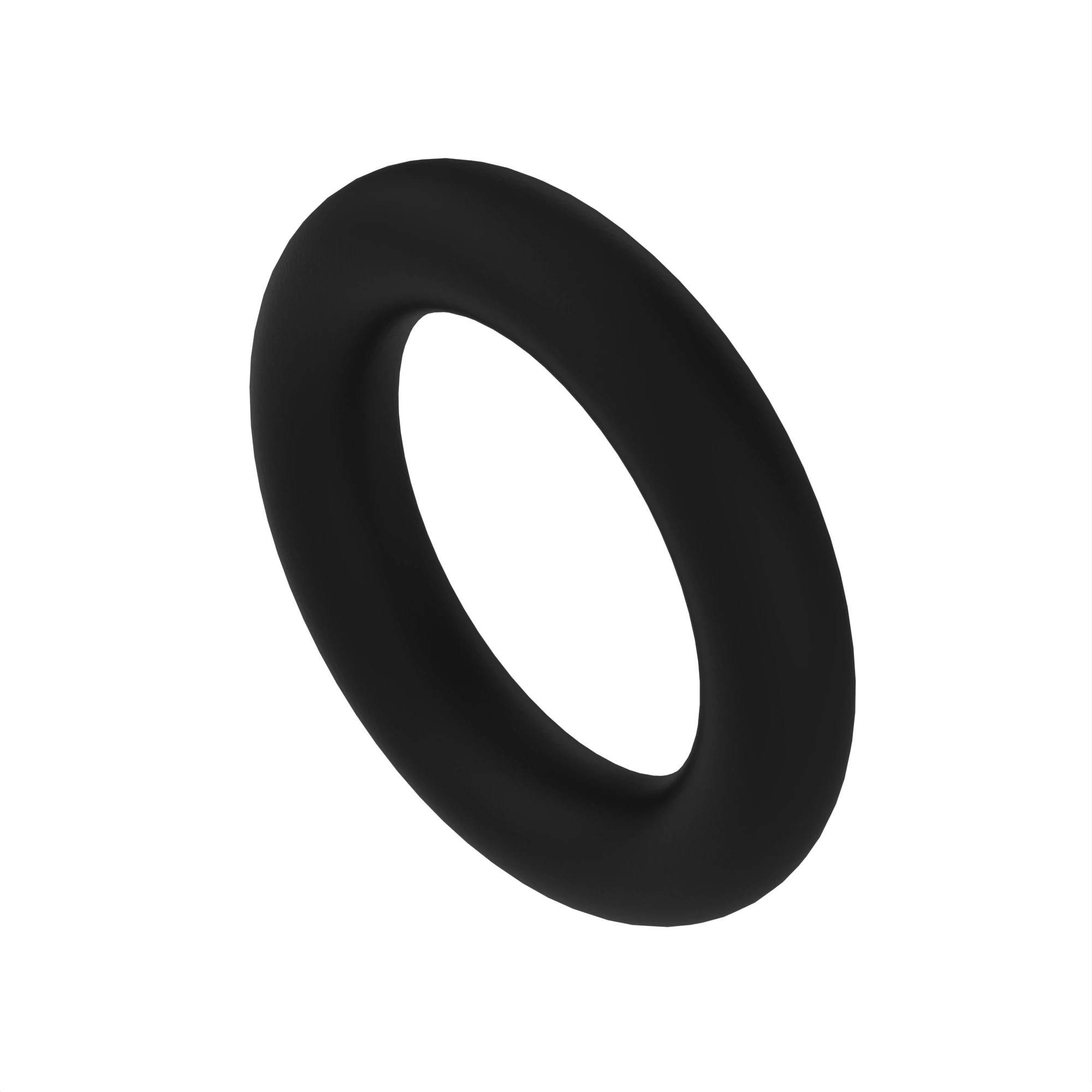 T40308: O-Ring