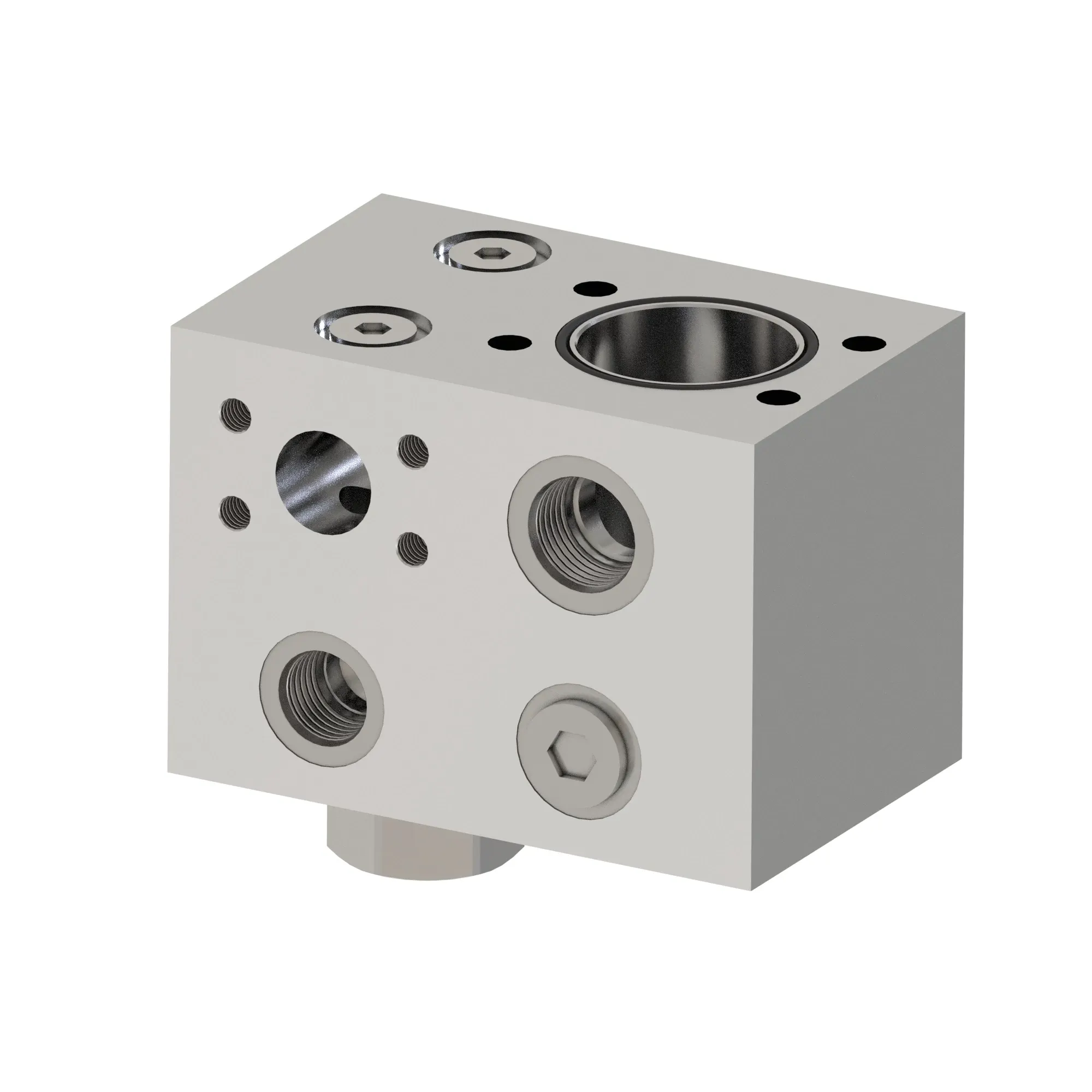 Manifold