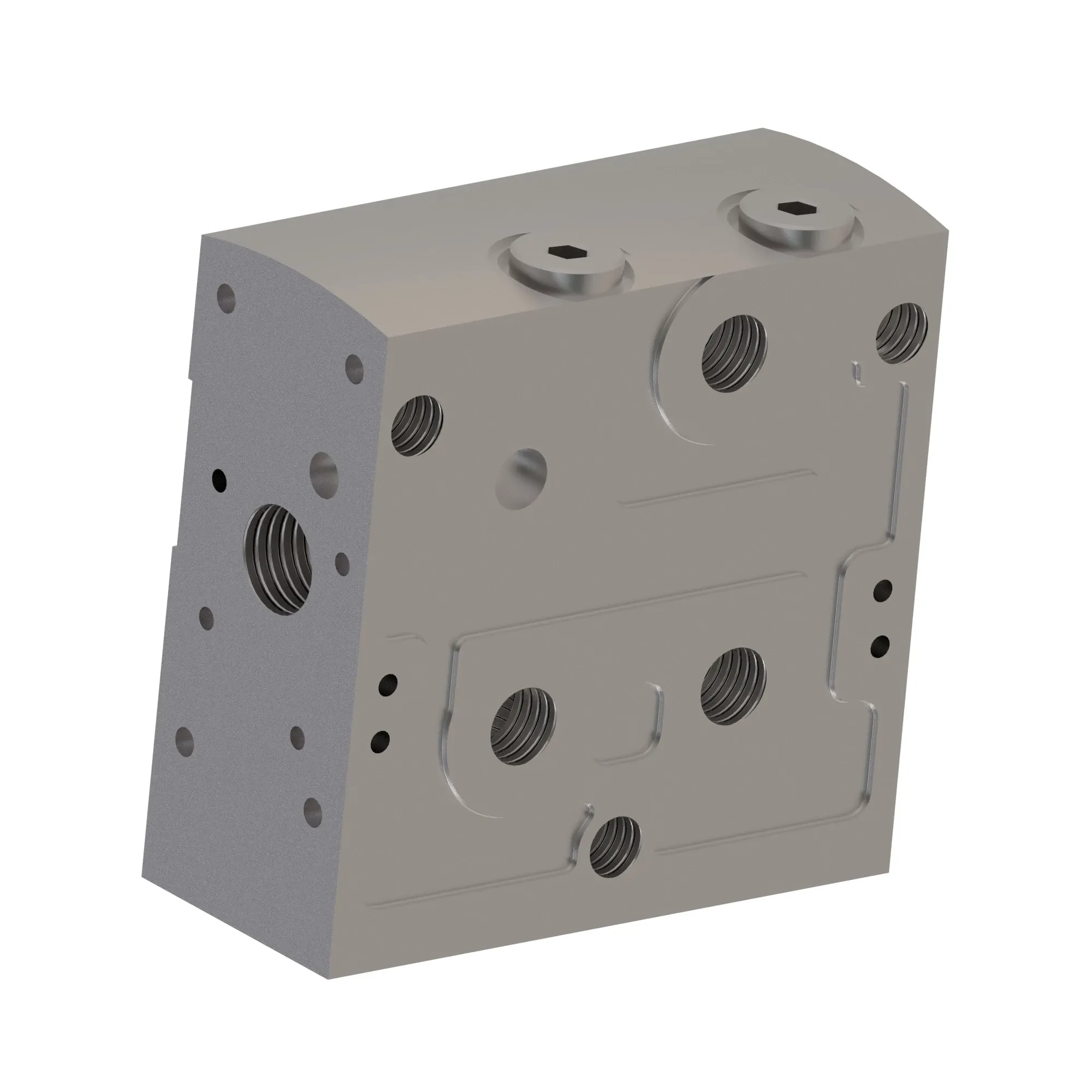 Manifold