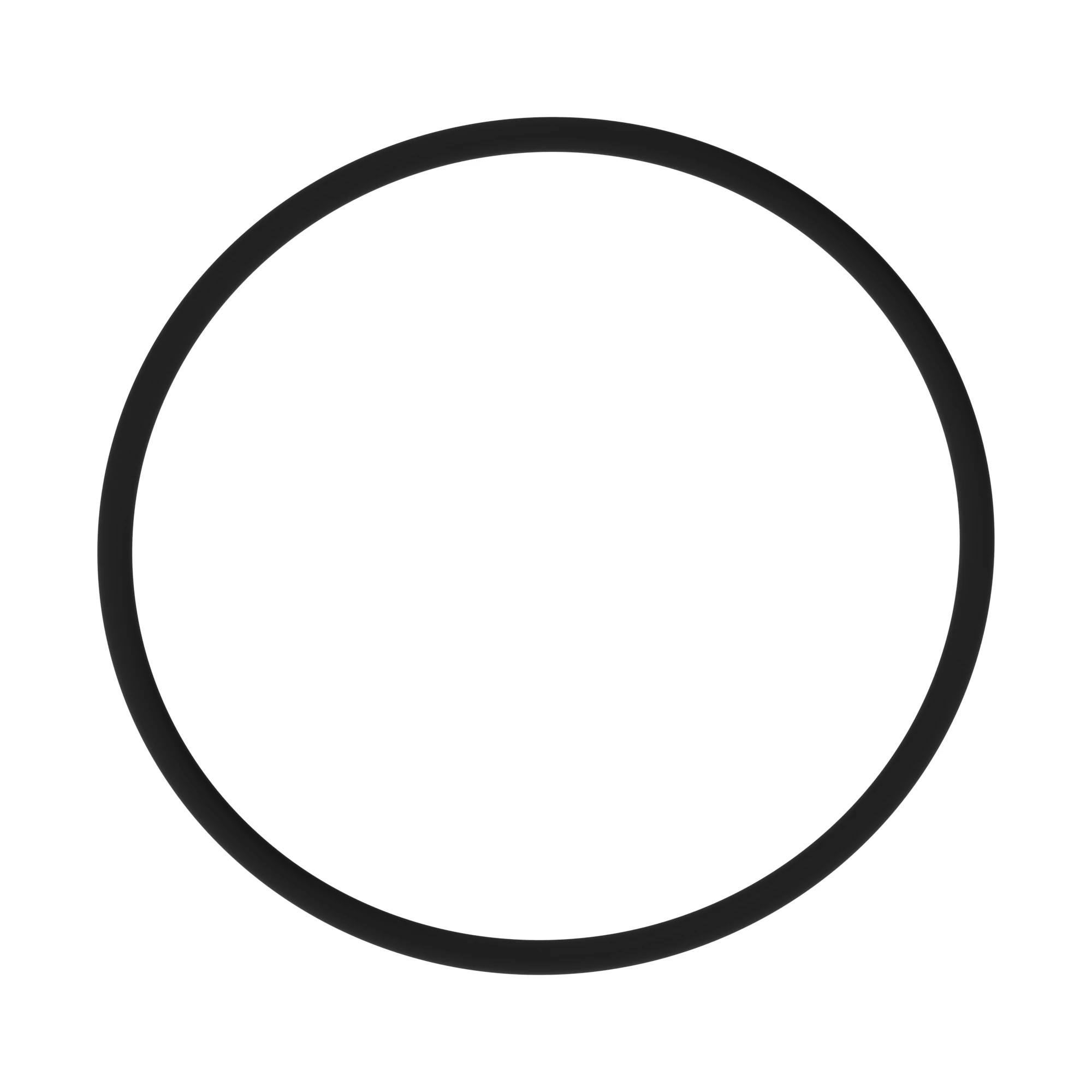 O-RING