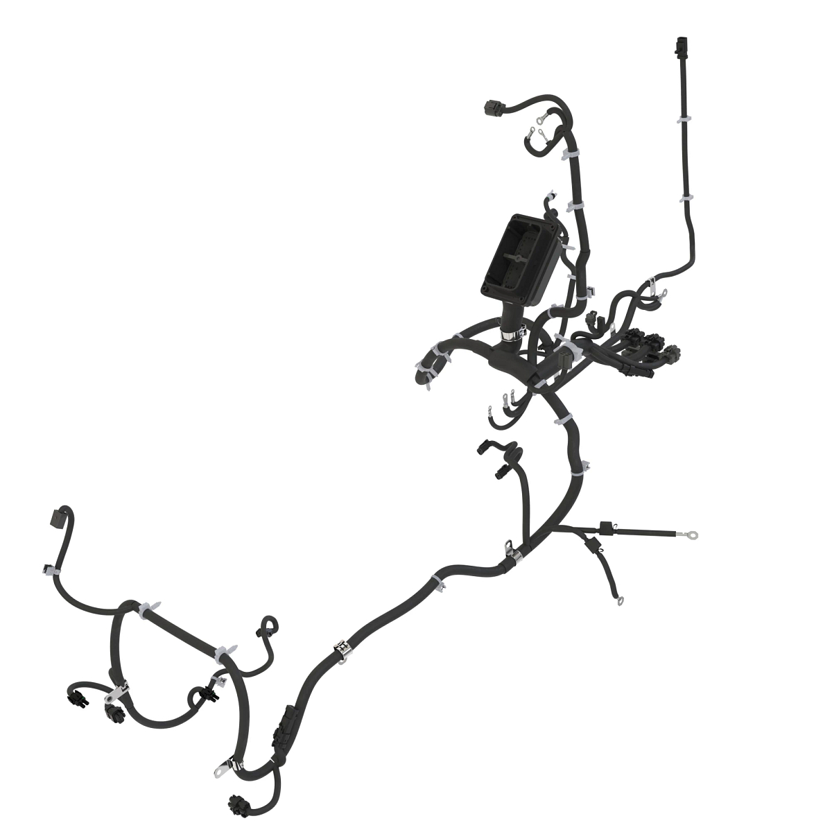 Chassis Wiring Harness