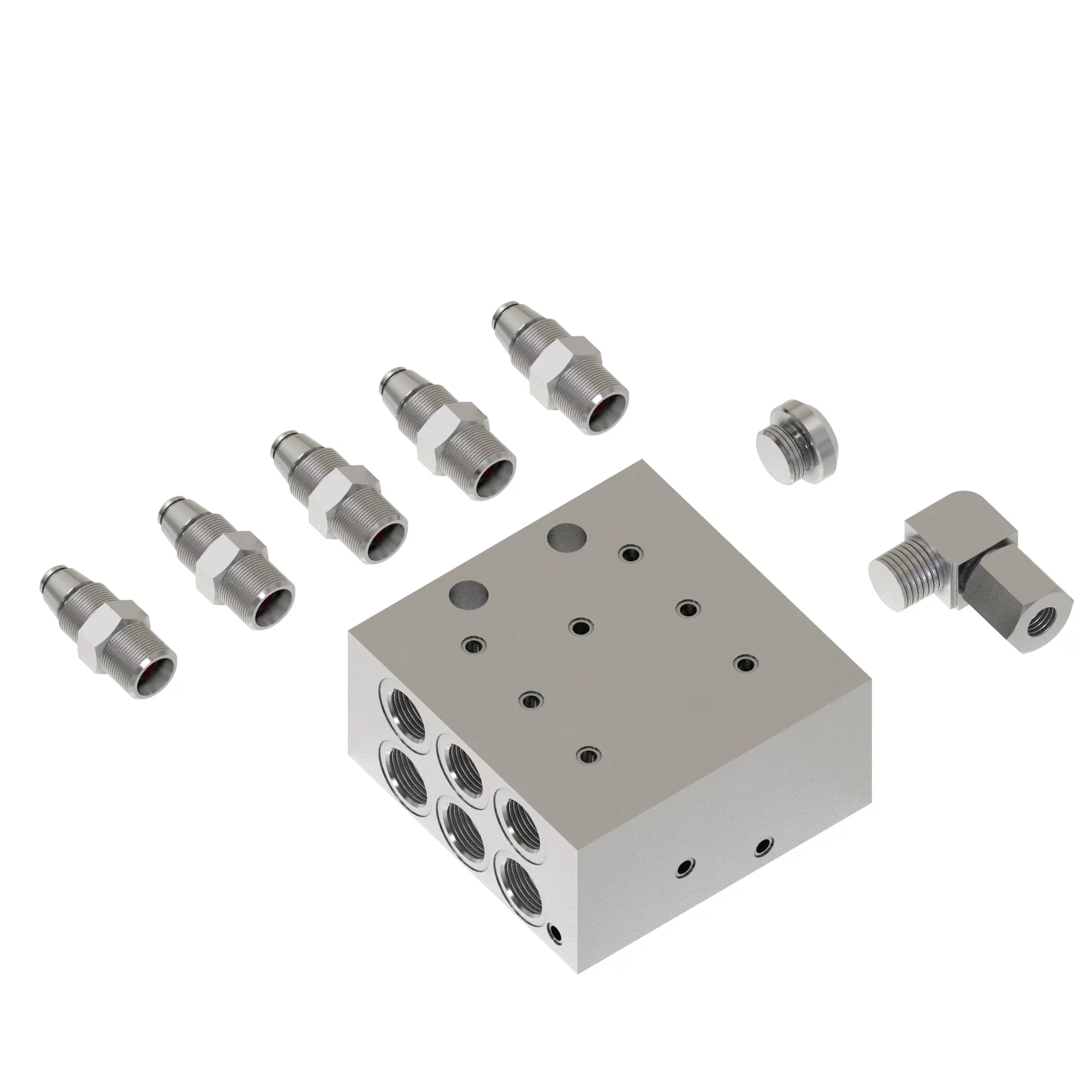 Manifold Kit