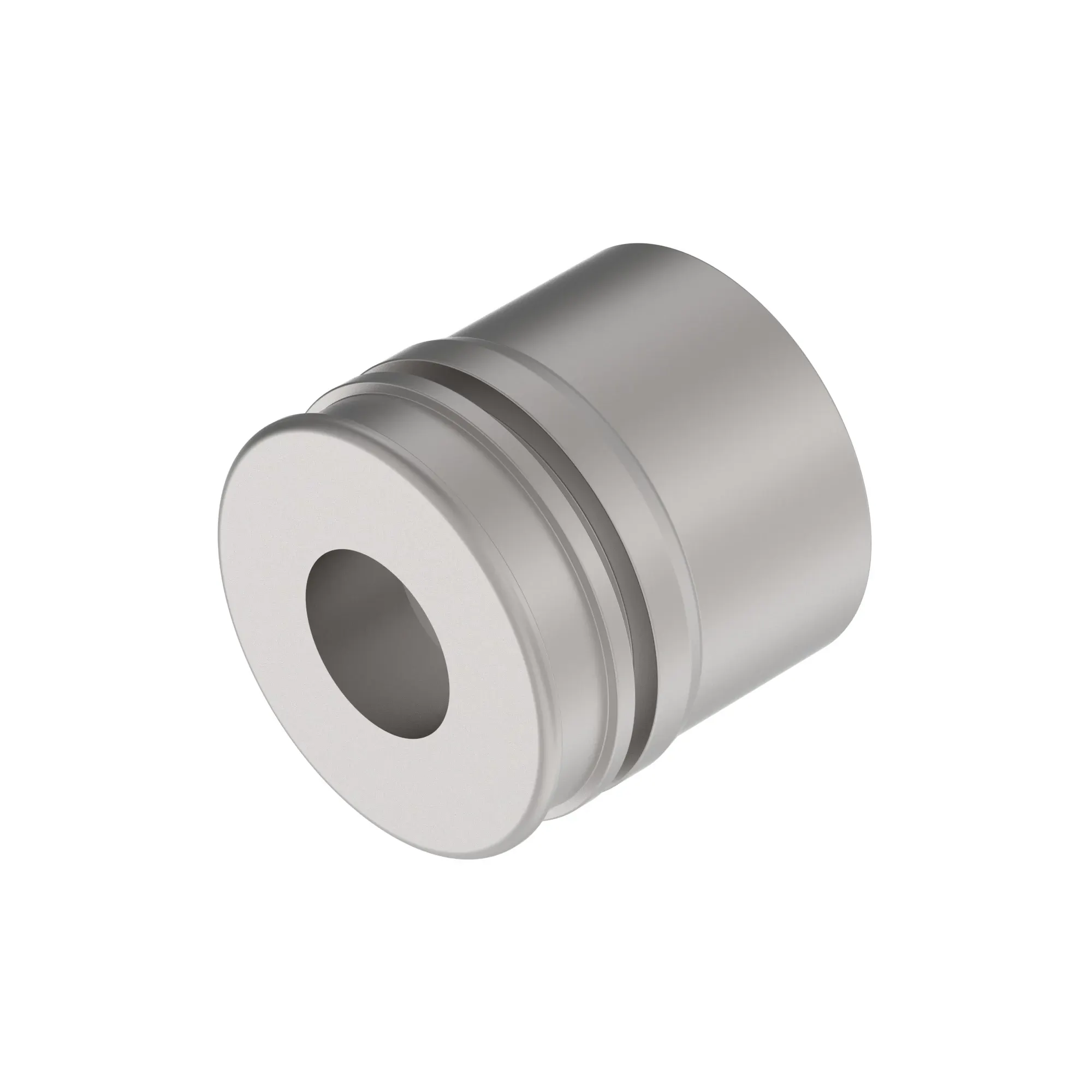 PISTON, 100 X 70 X M42 2 PC SEAL