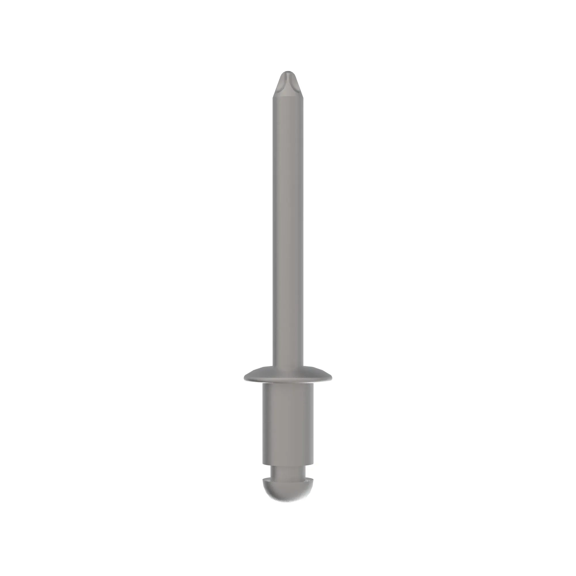 Rivet