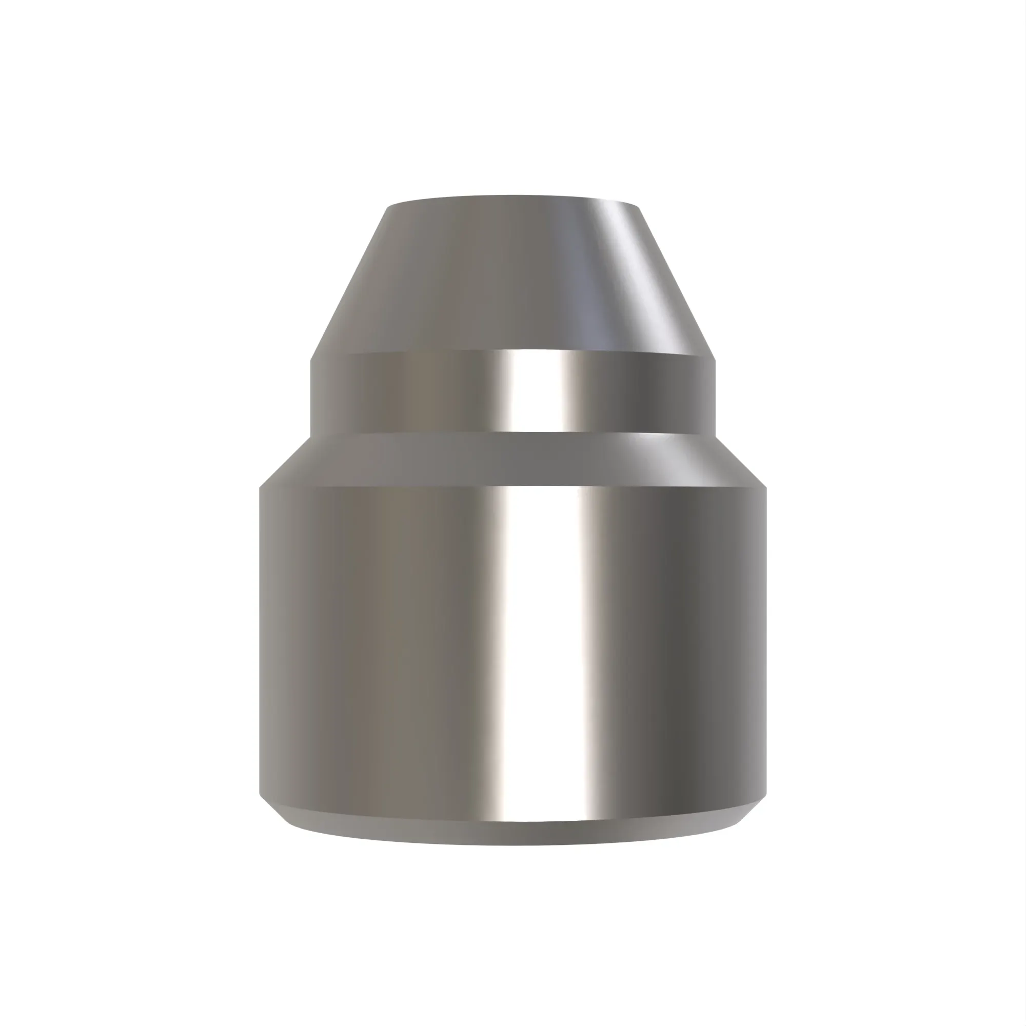 Fitting Plug