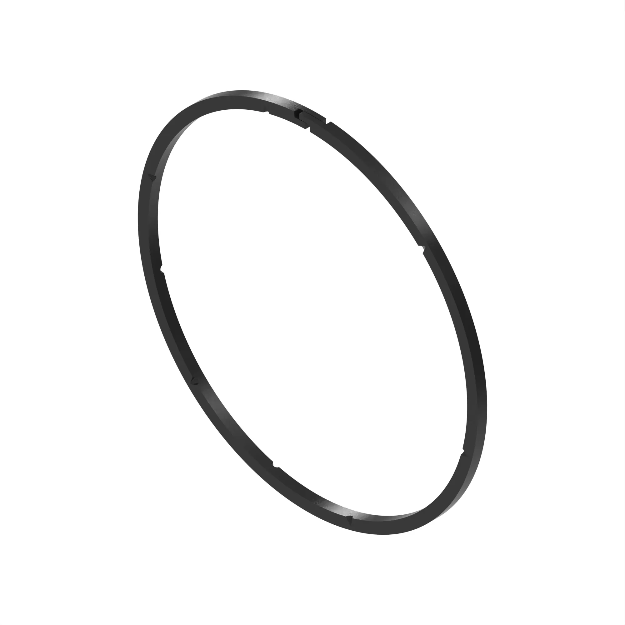 R219819: Sealing Ring
