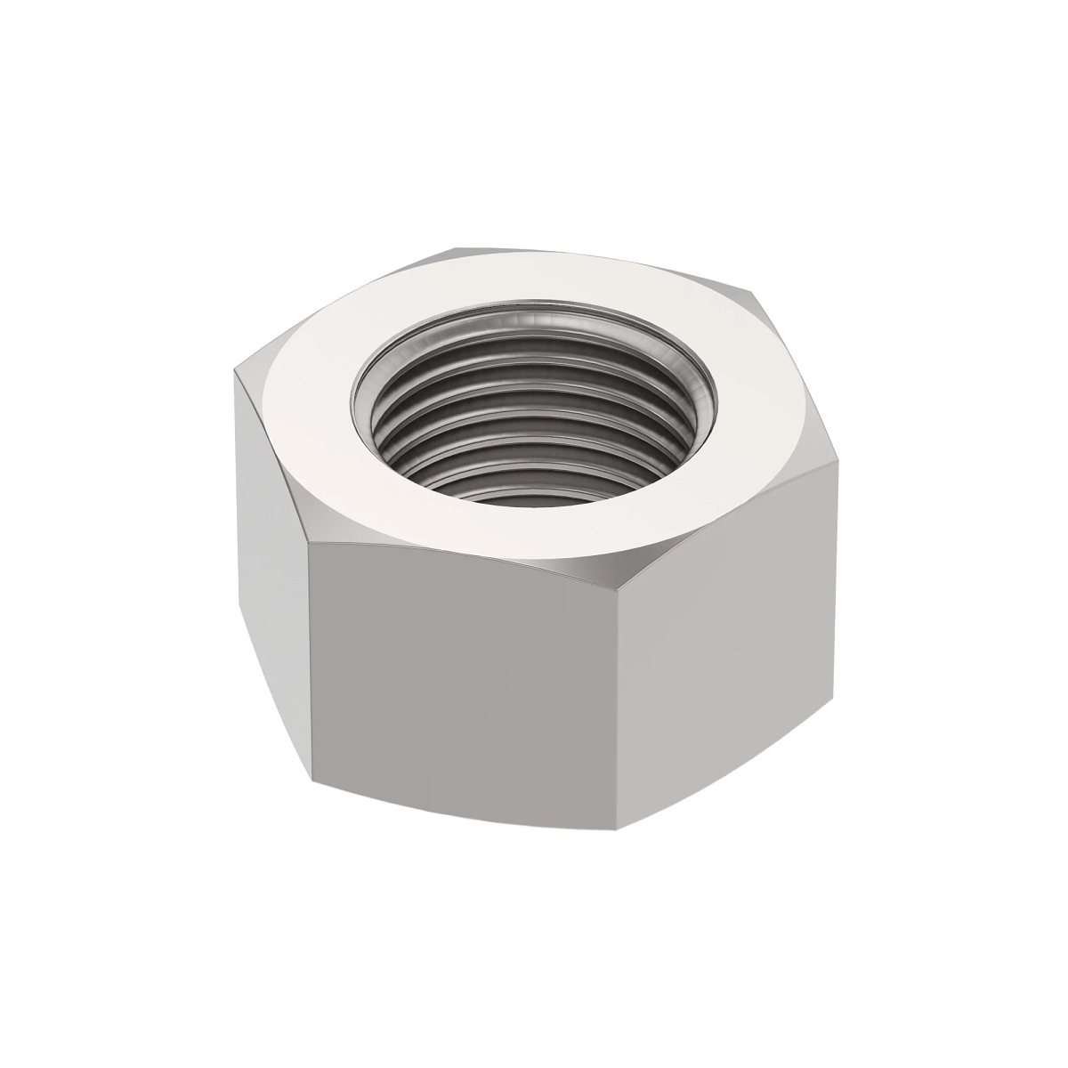Nut, Wldmt 304SS