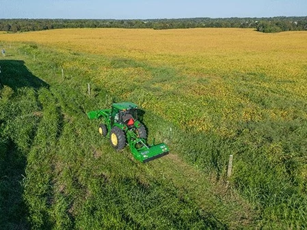 Aerial view of tractor mowing a grassy field edge beside a large yellow crop field, using a rear-mounted mower attachment.