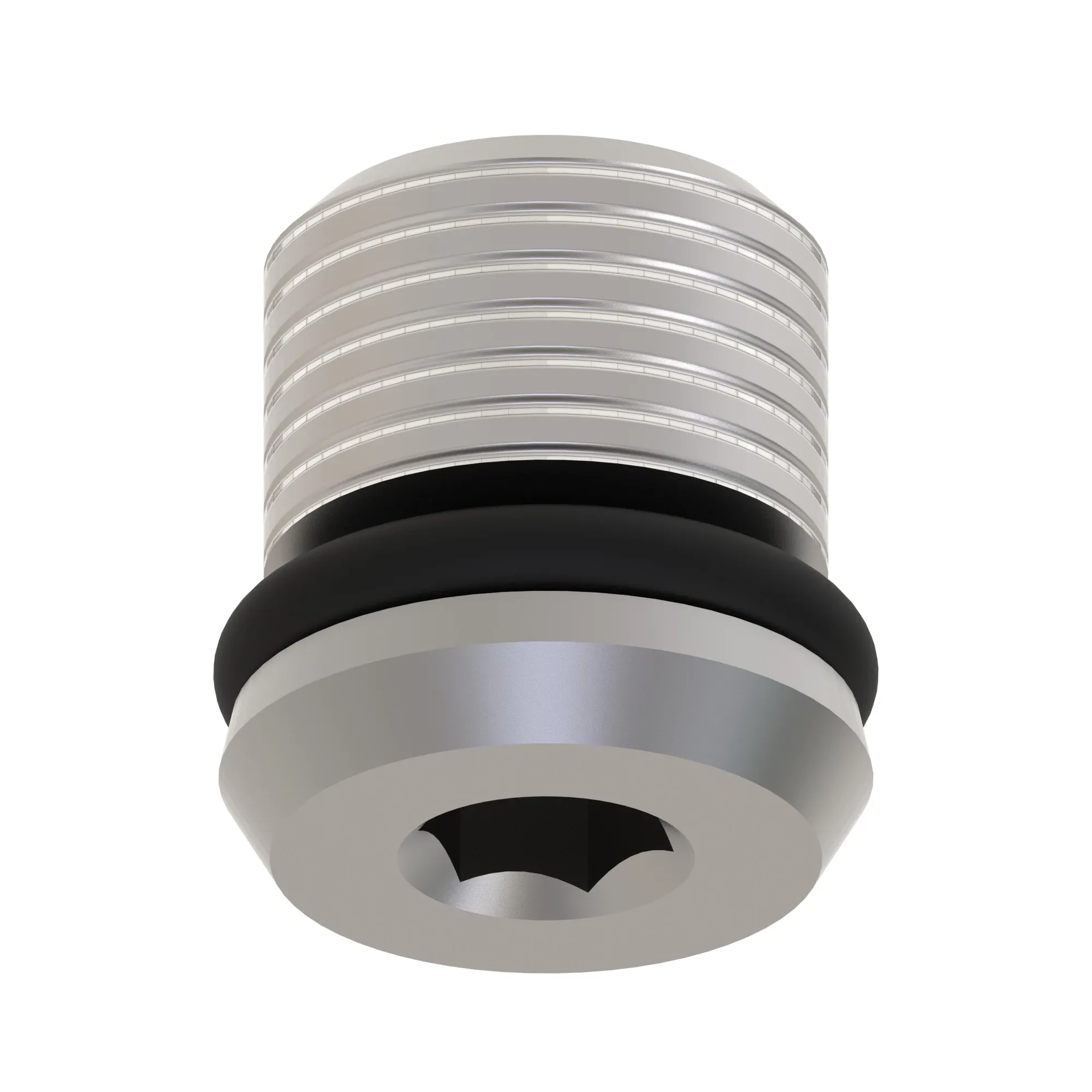 Fitting Plug