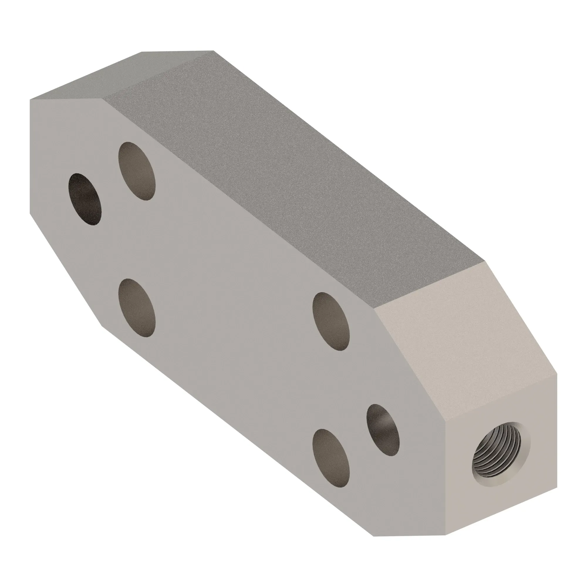 Manifold