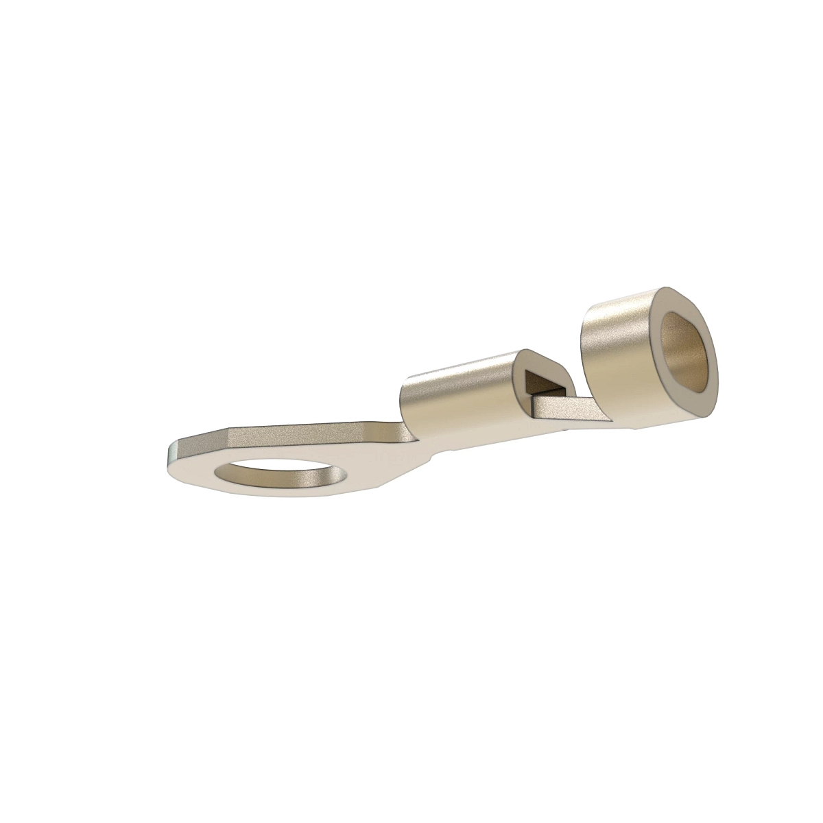 Term Delphi Ring M5