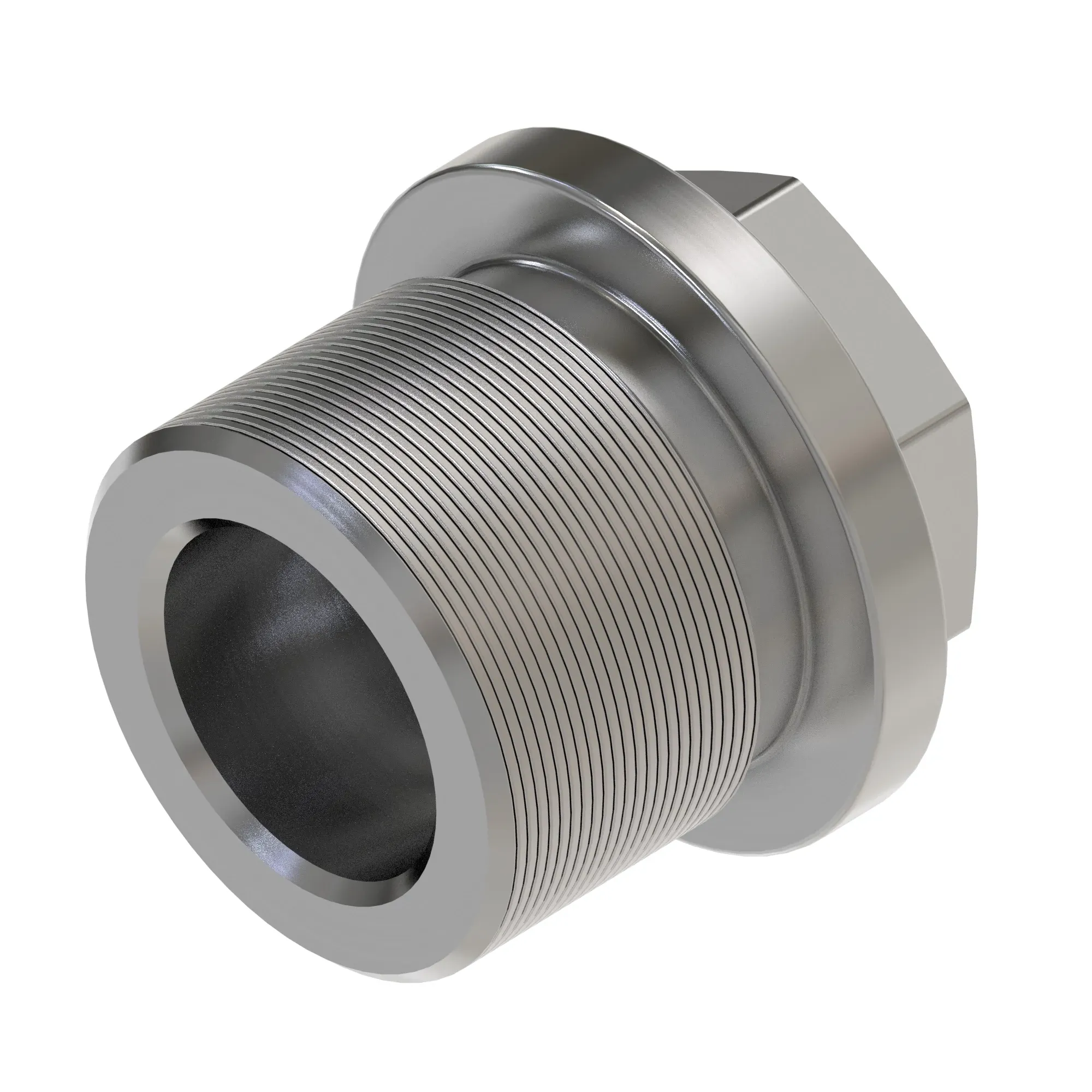 Fitting Plug