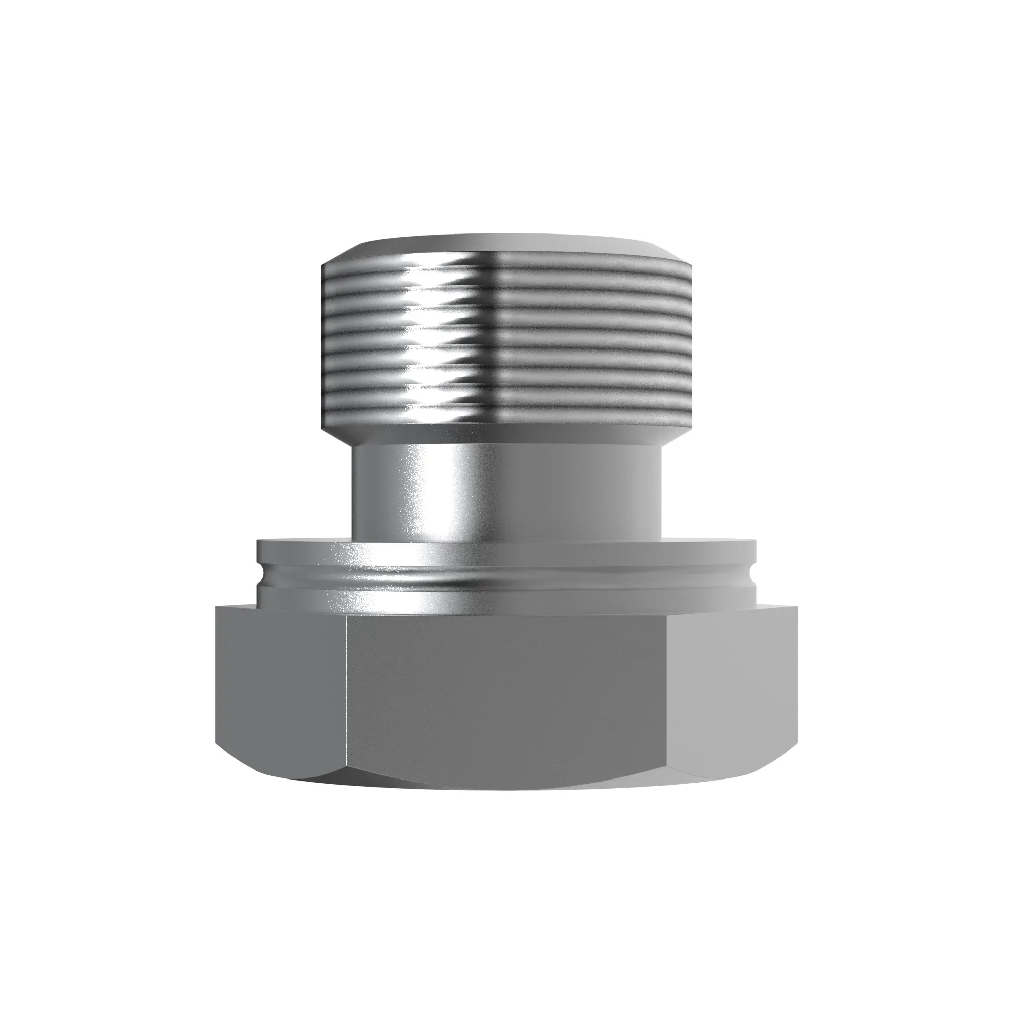 Fitting Plug