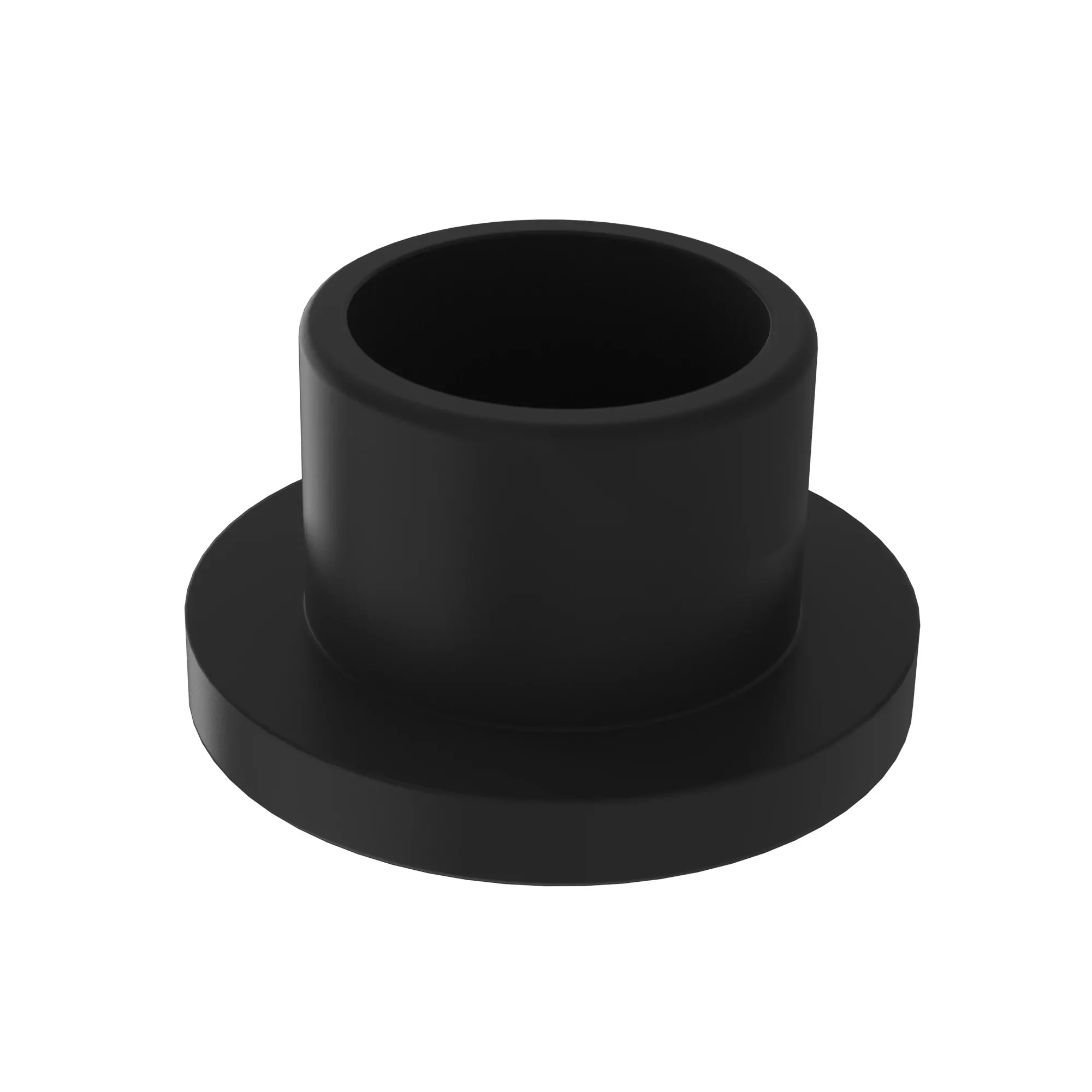 Plug