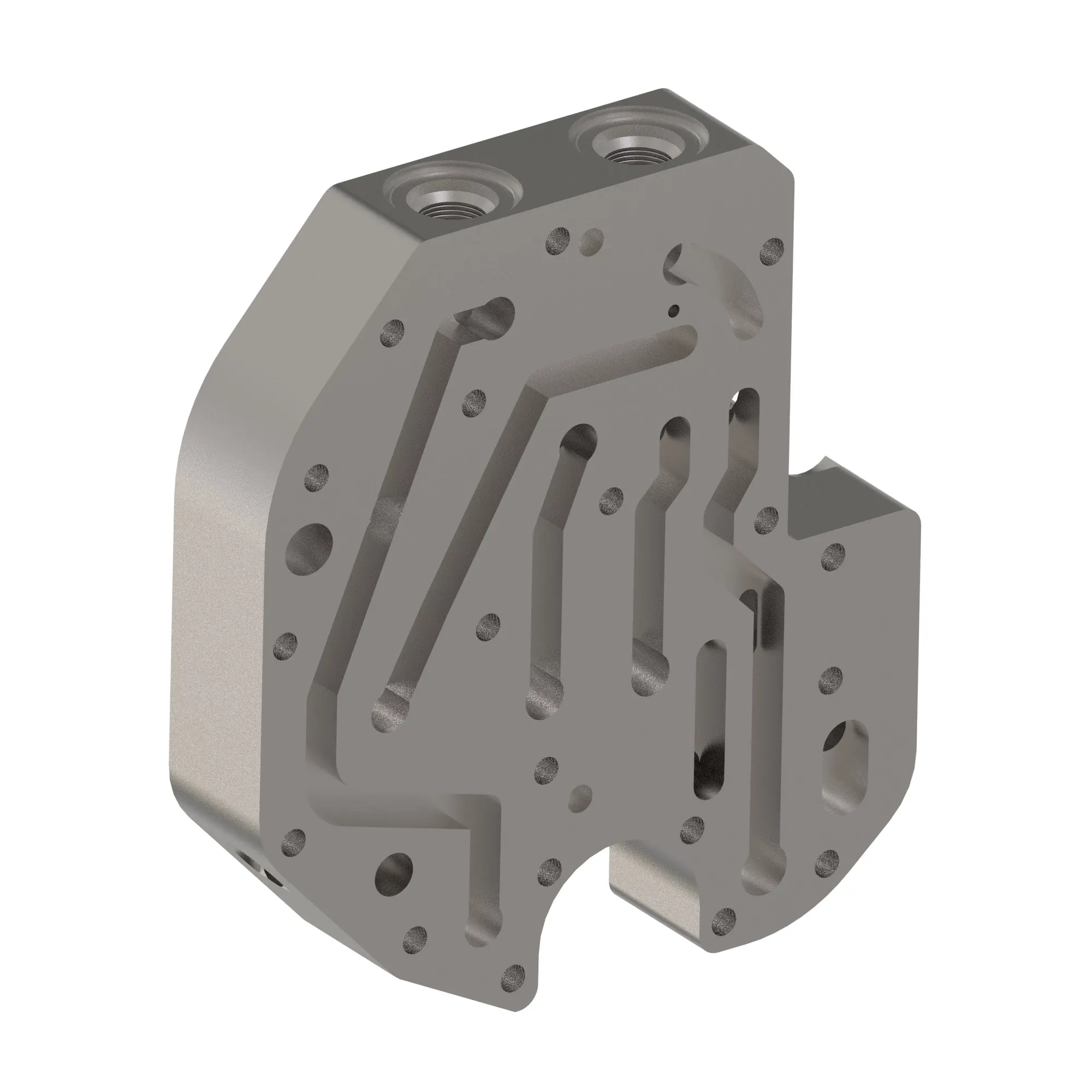 Manifold