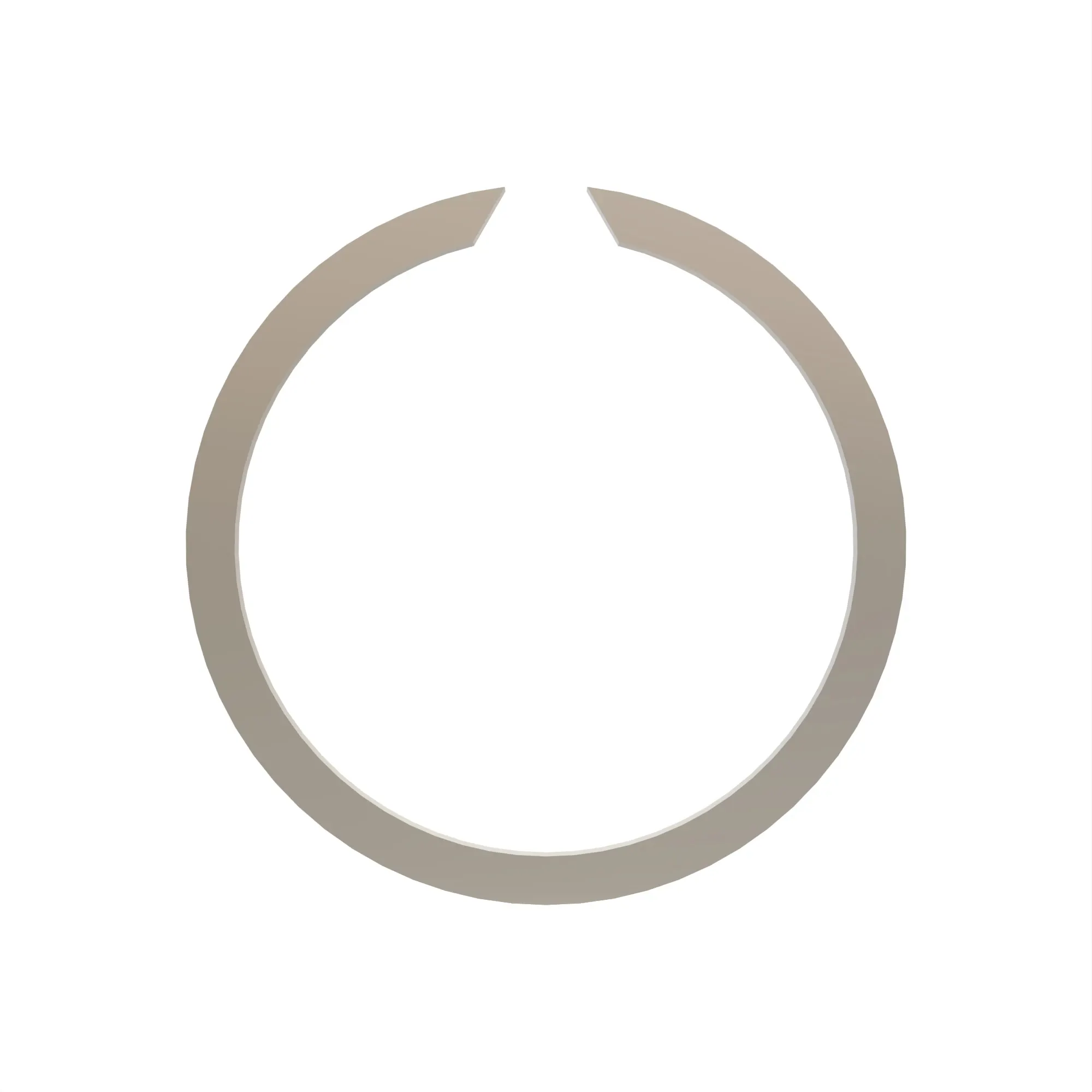 Snap Ring