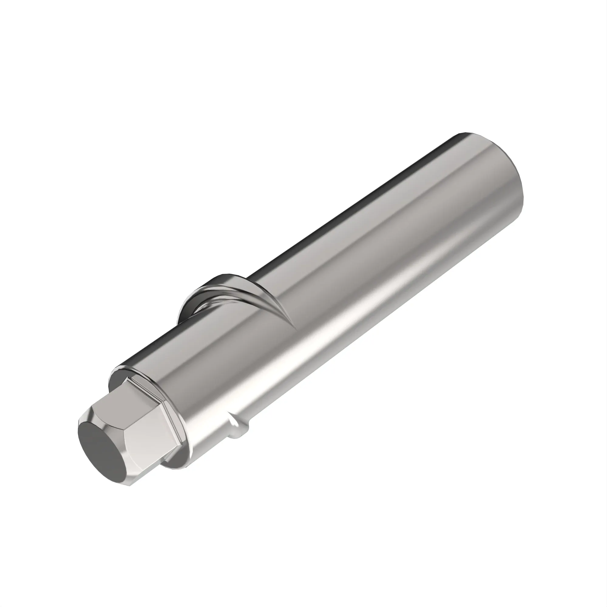 Stainless Steel Pin