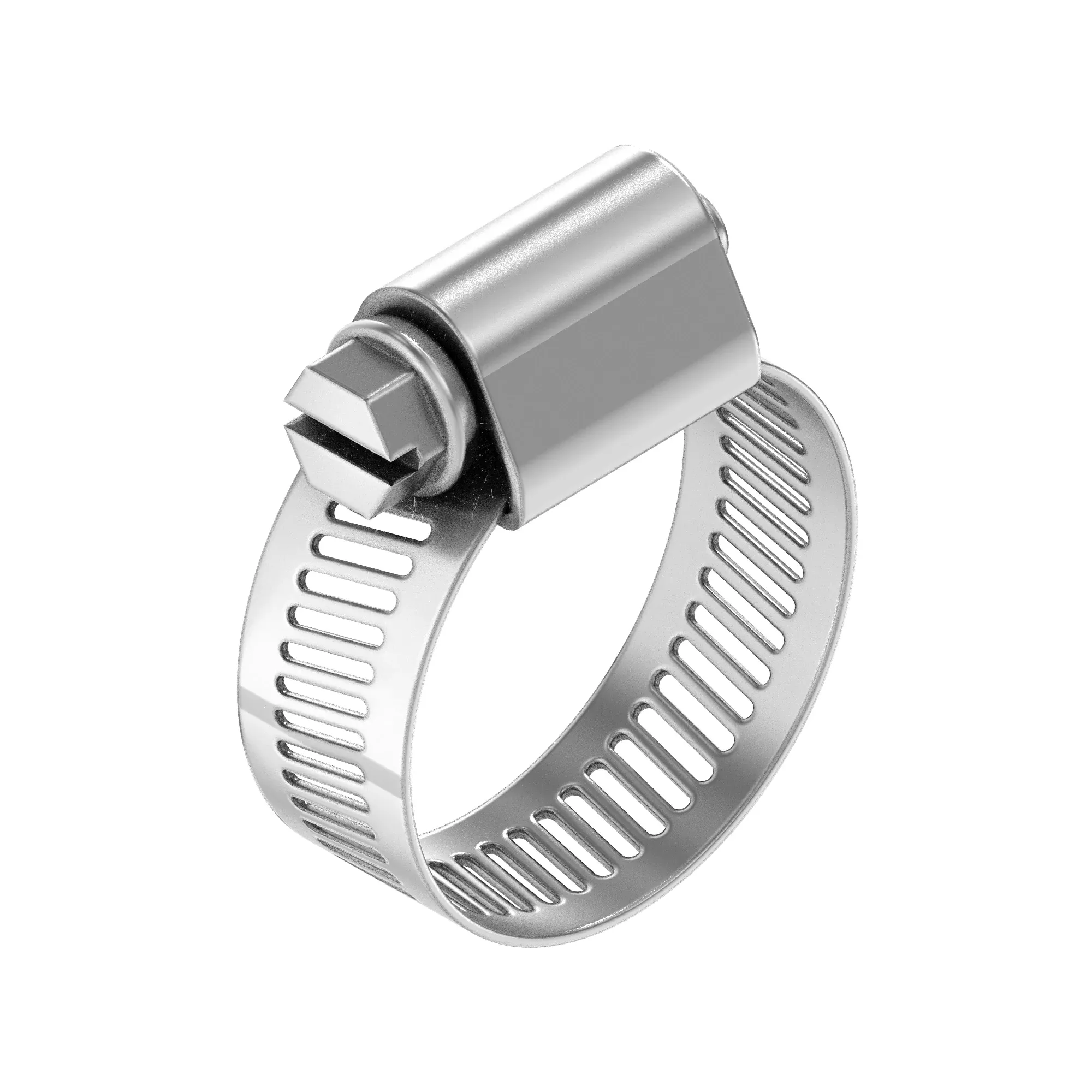 Hose Clamp
