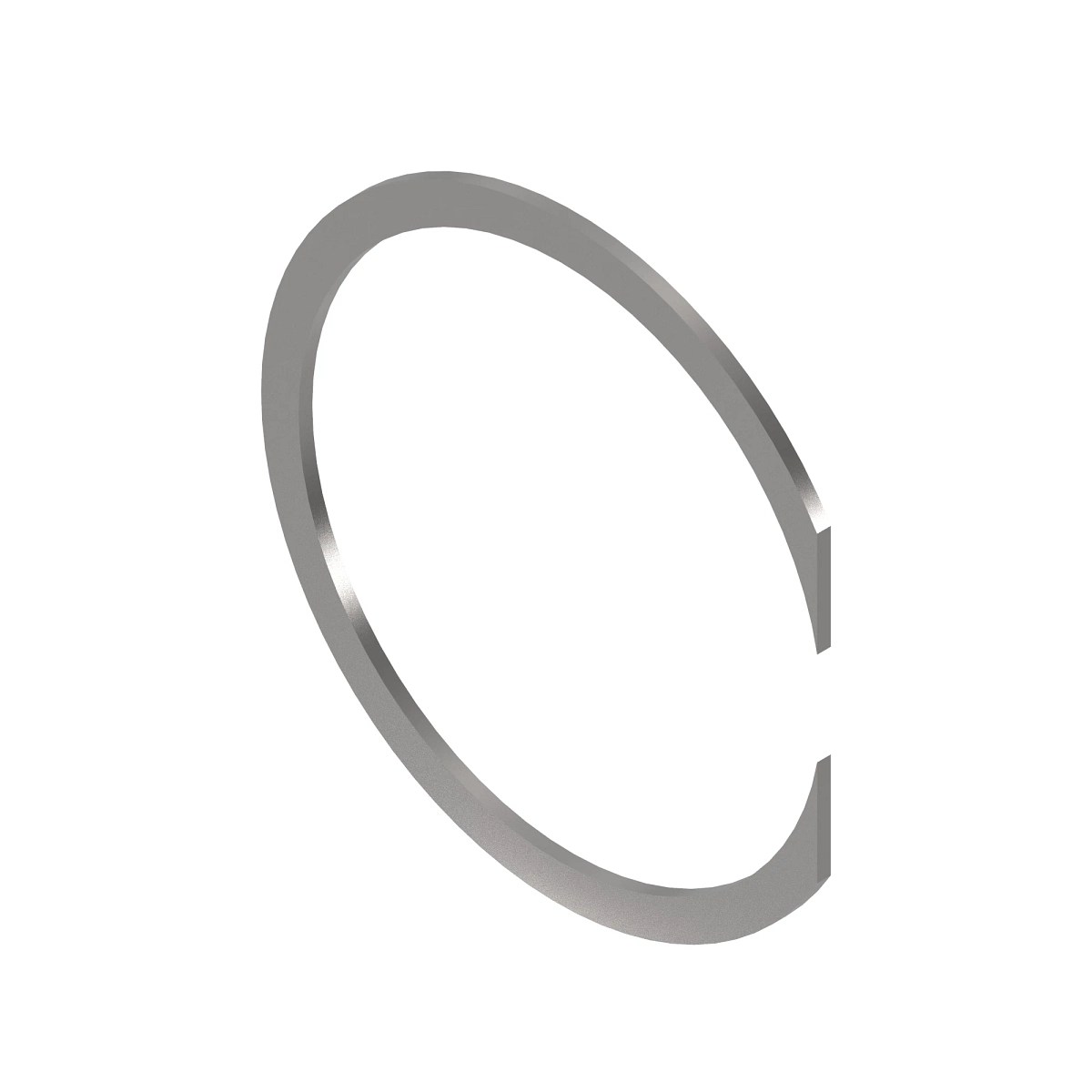 RING-INTERNAL SNAP