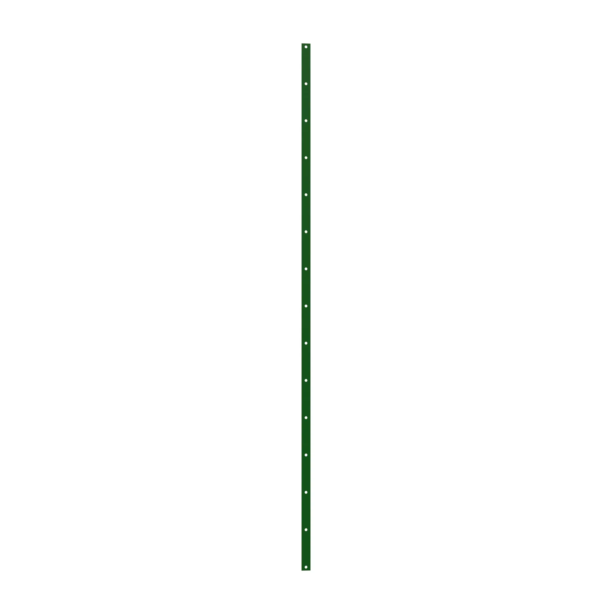Sheet