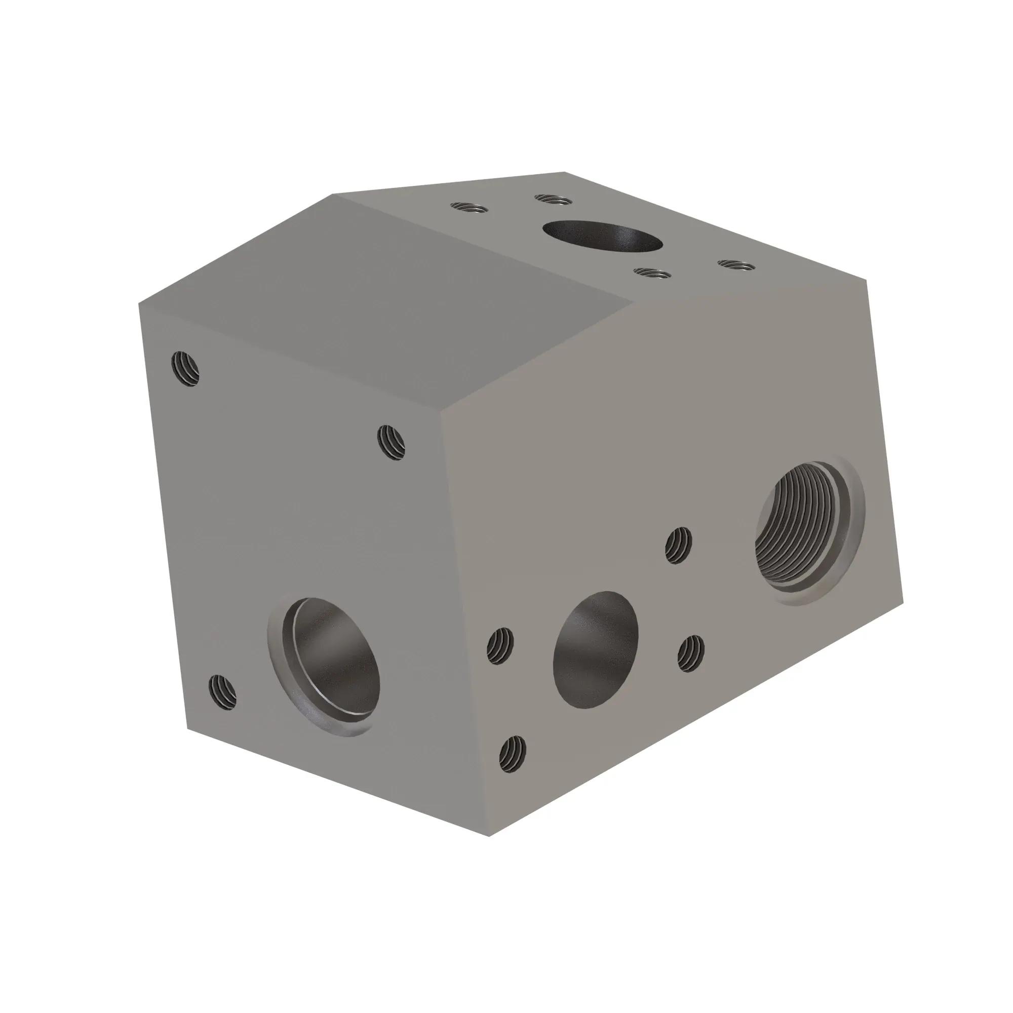 Manifold