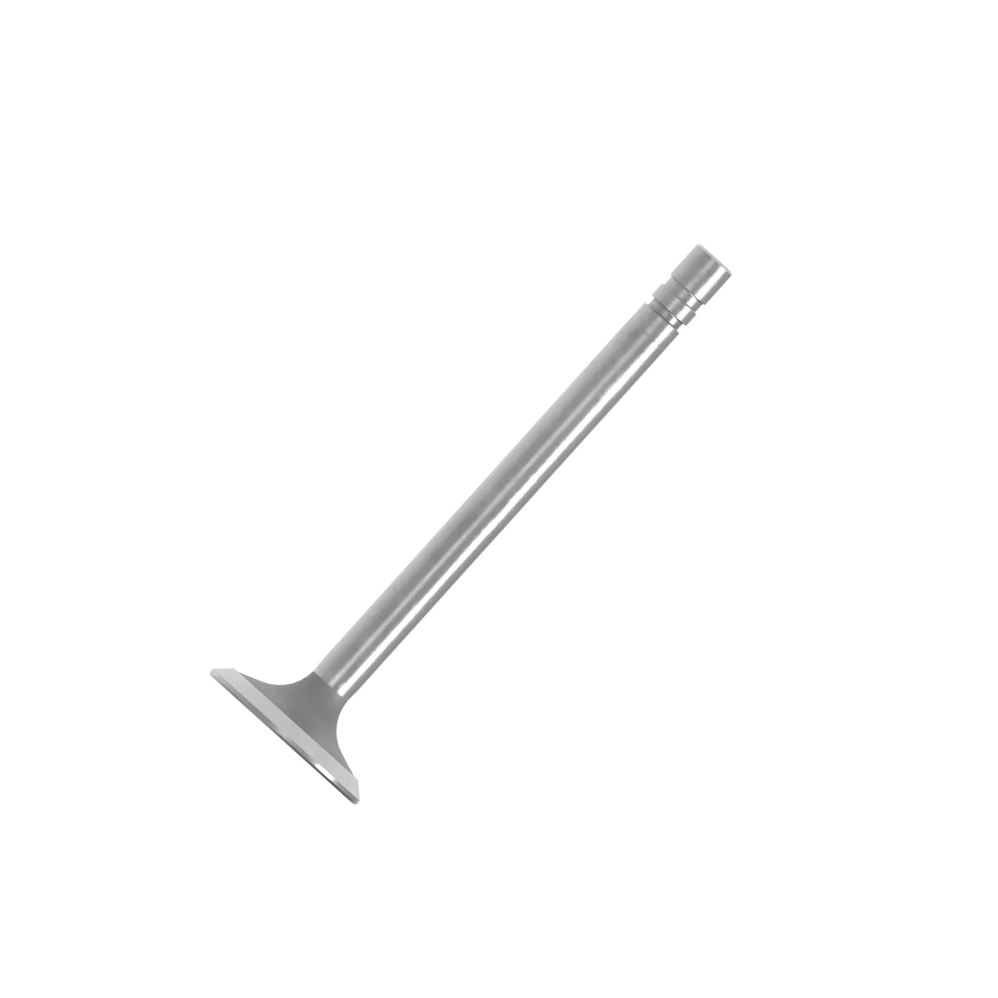 EXHAUST VALVE