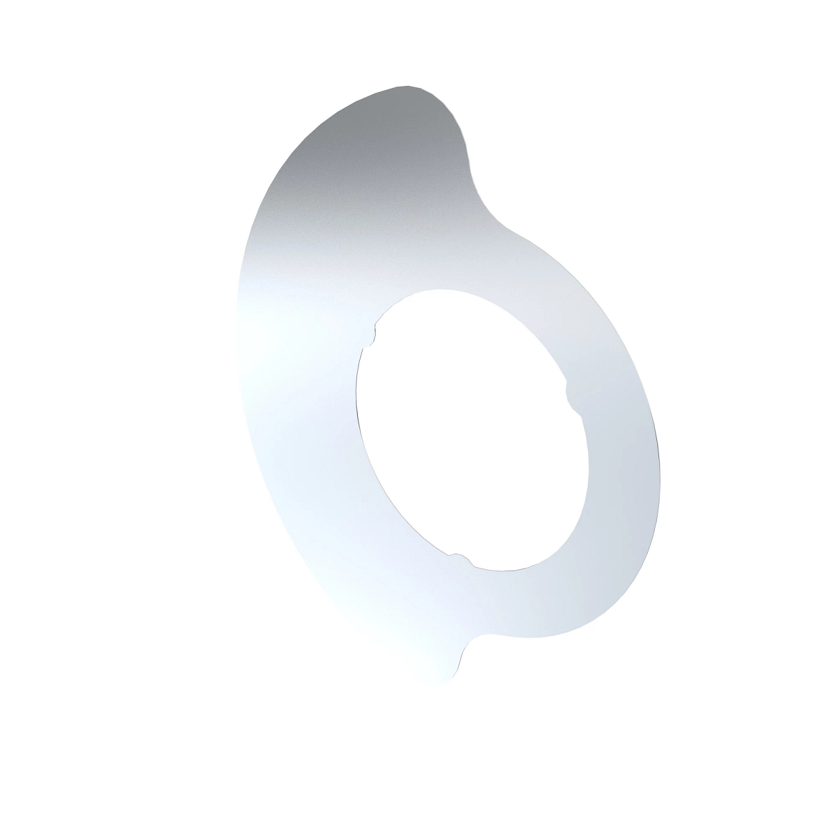 SHIM, WASHER, FRICTION