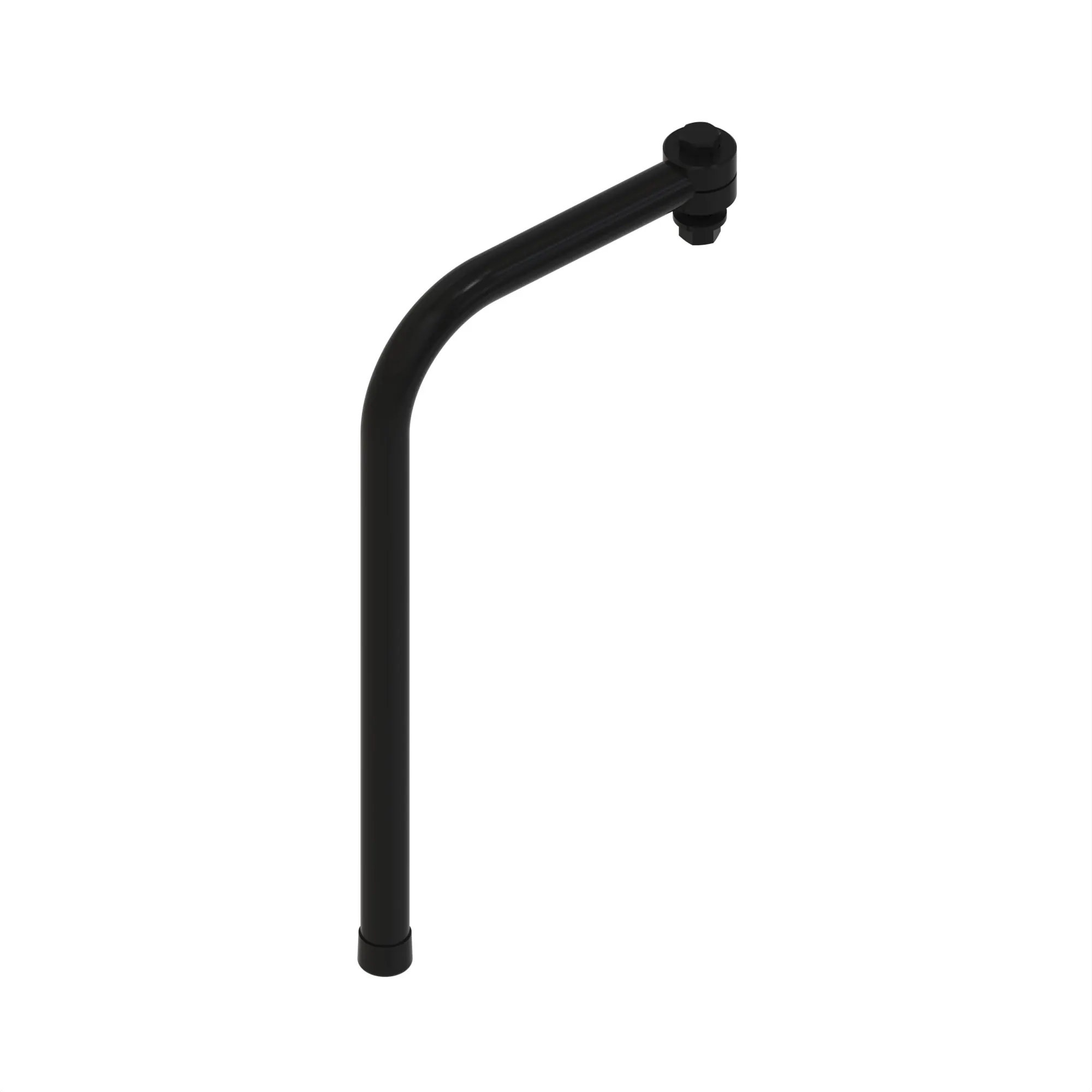 Rib